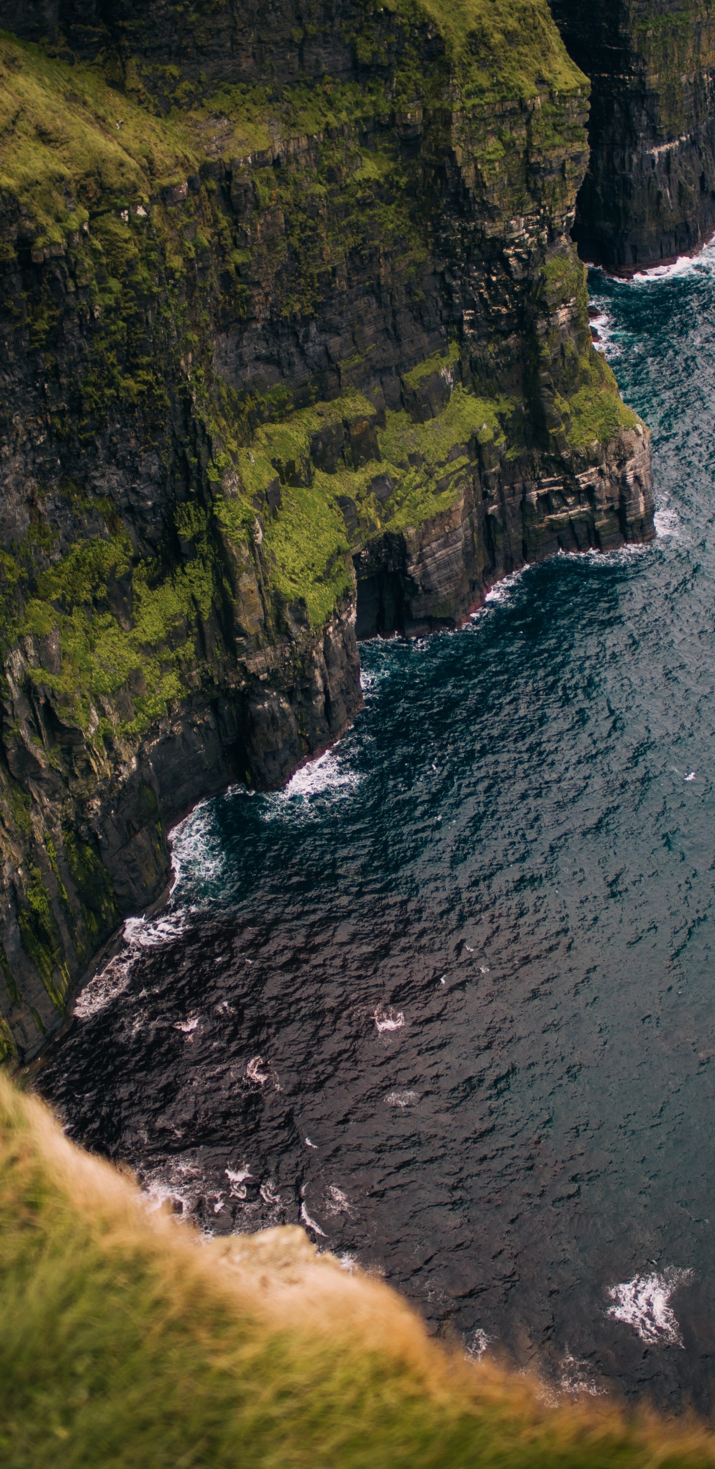 Обои побережье, утесы мохер, дулин, лисдунварна, вода в разрешении 1440x2960