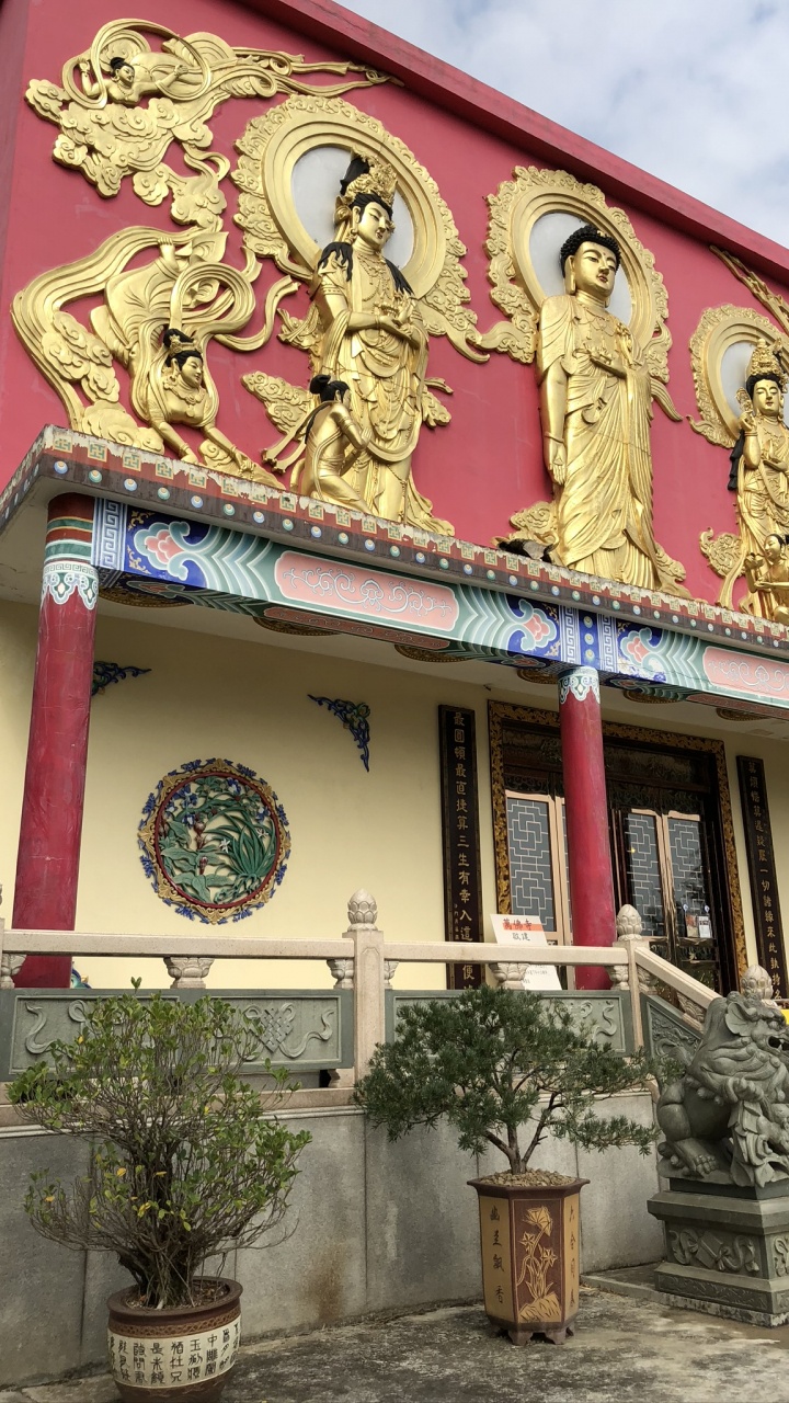 Обои храм, цветочный горшок, ориентир, скульптура, комнатное растение в разрешении 720x1280