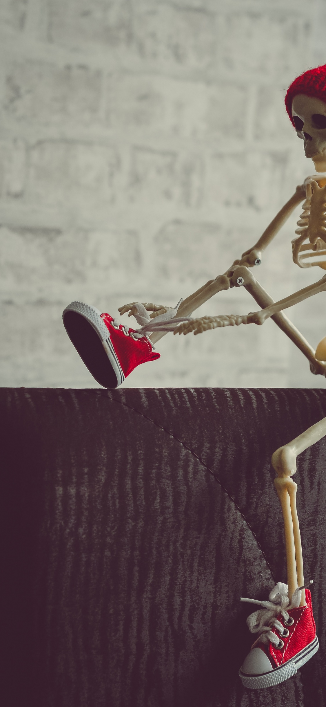 Обои скелет, скелетные подписи для инстаграма, анатомия, сустав, древесина в разрешении 1125x2436