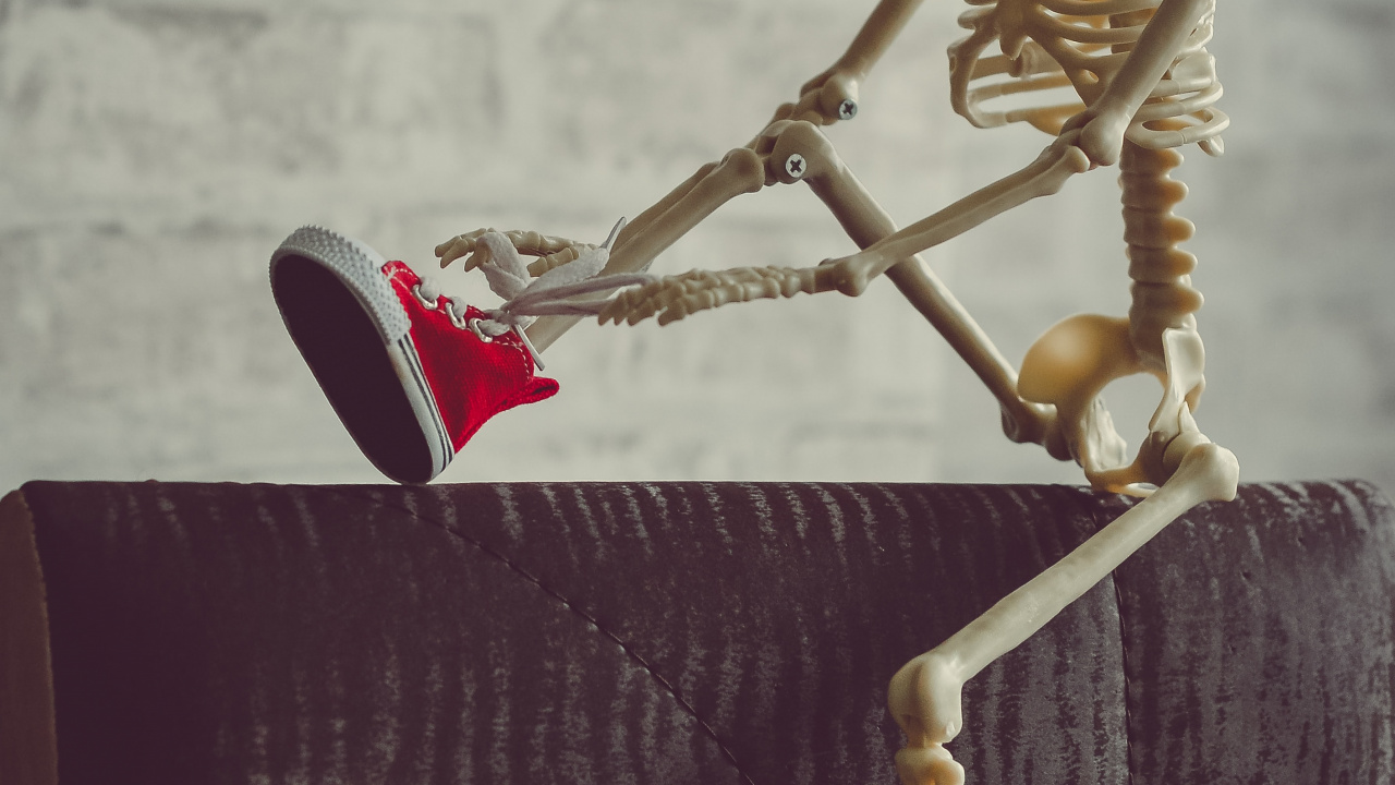 Обои скелет, скелетные подписи для инстаграма, анатомия, сустав, древесина в разрешении 1280x720