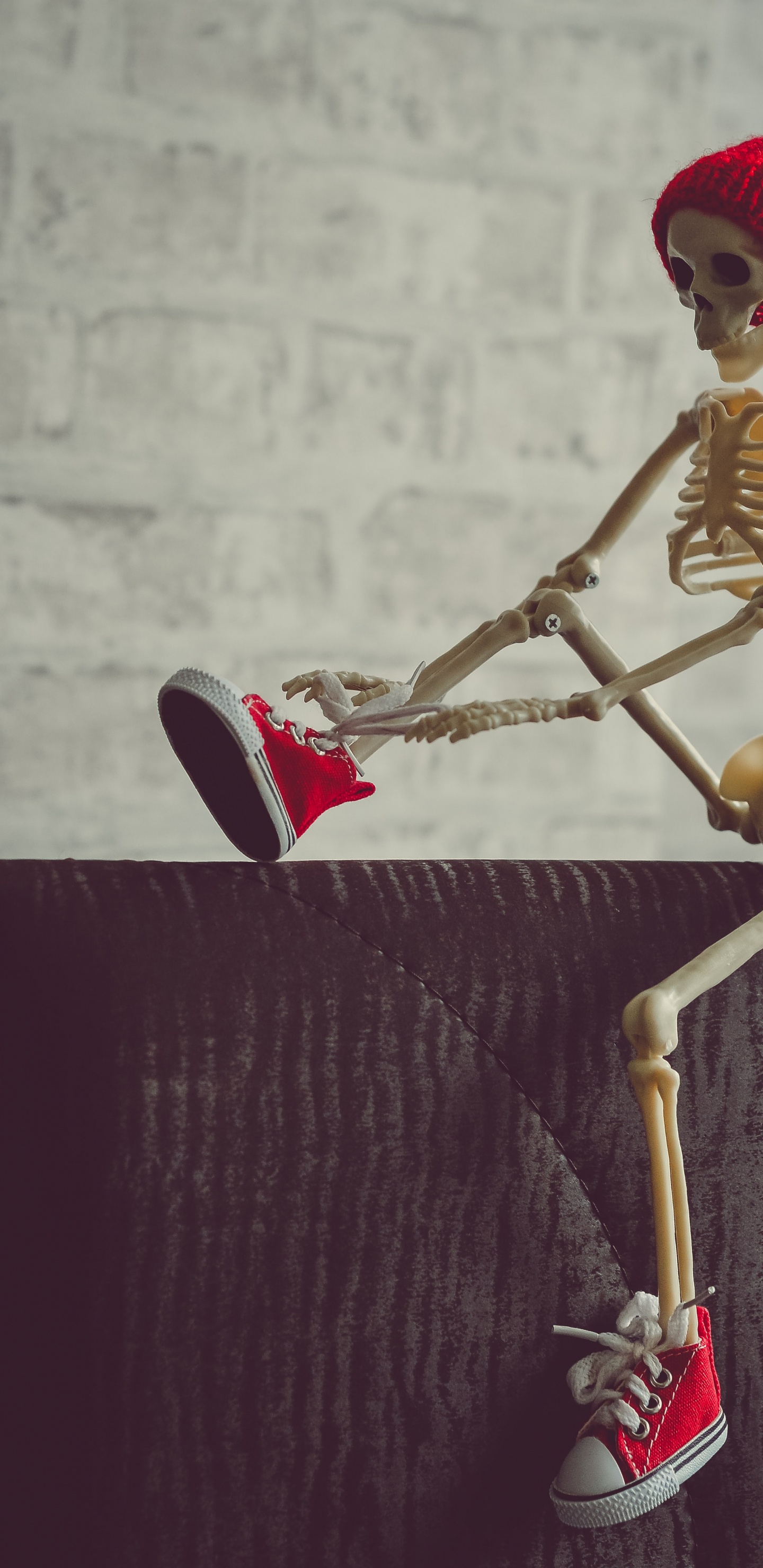 Обои скелет, скелетные подписи для инстаграма, анатомия, сустав, древесина в разрешении 1440x2960