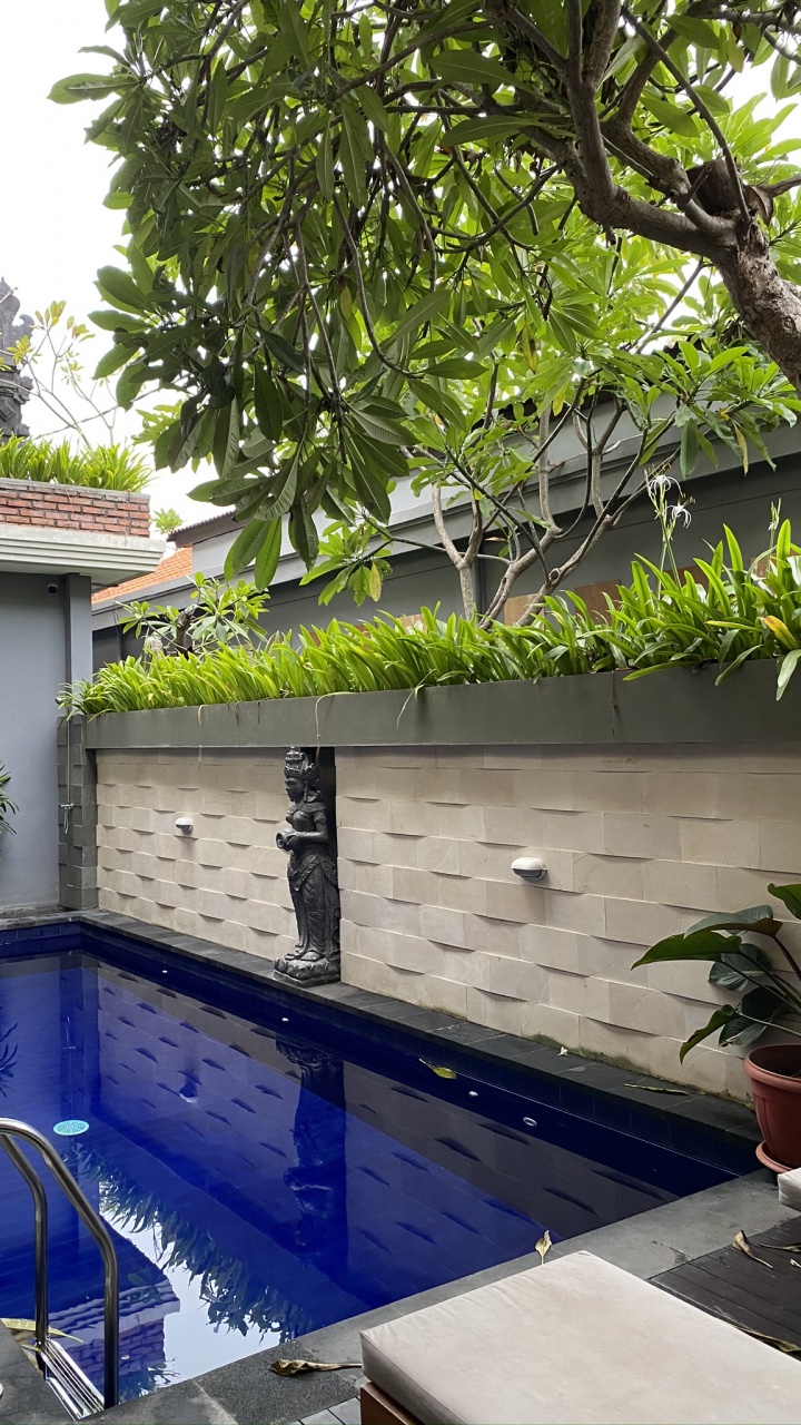 Обои плавательный бассейн, недвижимость, мажорель синий, цветочный горшок, свойство в разрешении 720x1280