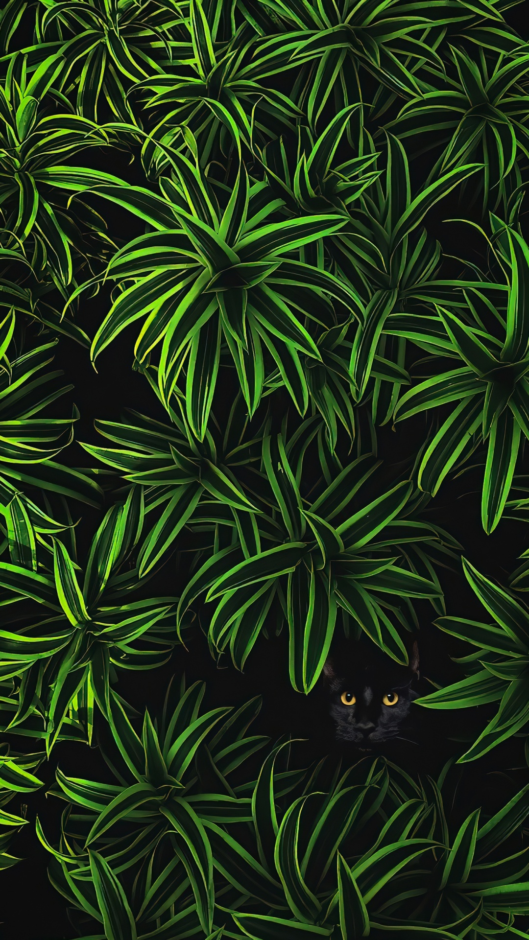 Обои растительность, растение, ботаники, наземное растение, почвопокровная в разрешении 1080x1920