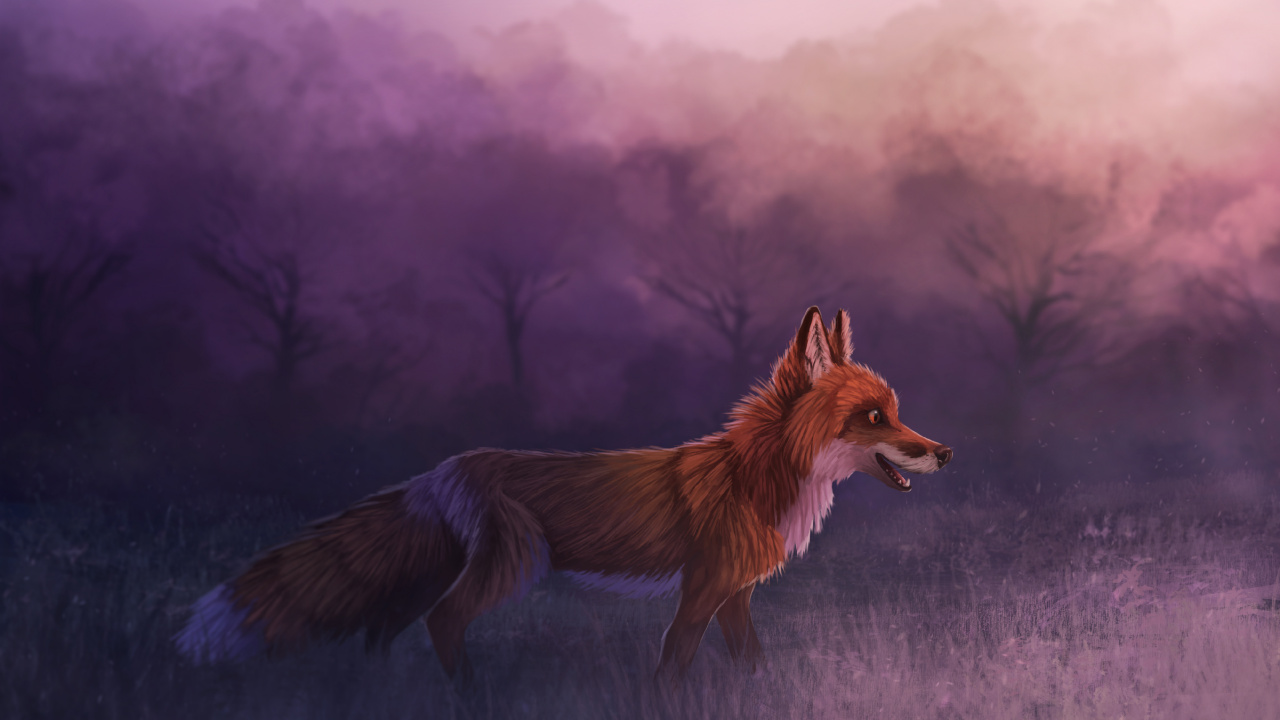 Обои лиса, красный волк, рыжая лисица, Псовые, живая природа в разрешении 1280x720