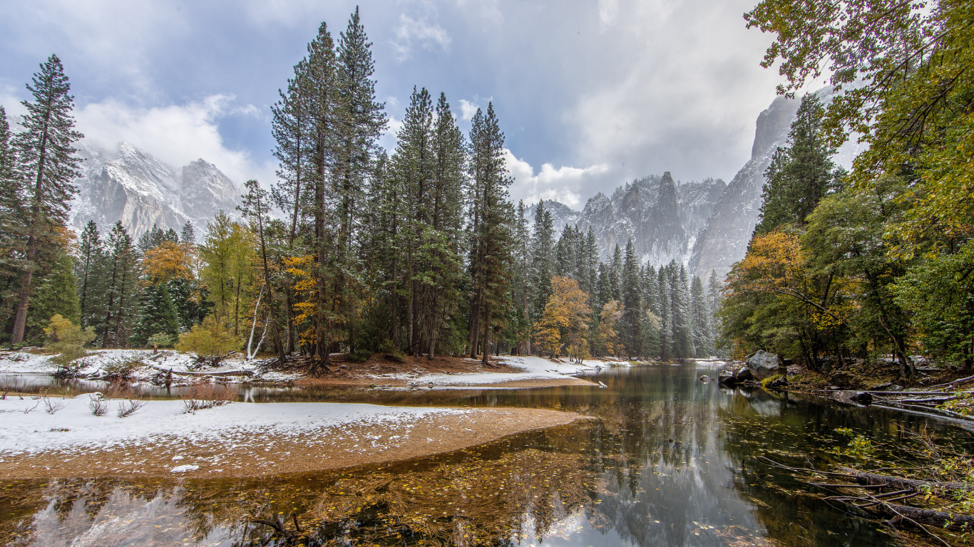 Обои природа, отражение, дерево, вода, дикая местность в разрешении 1366x768