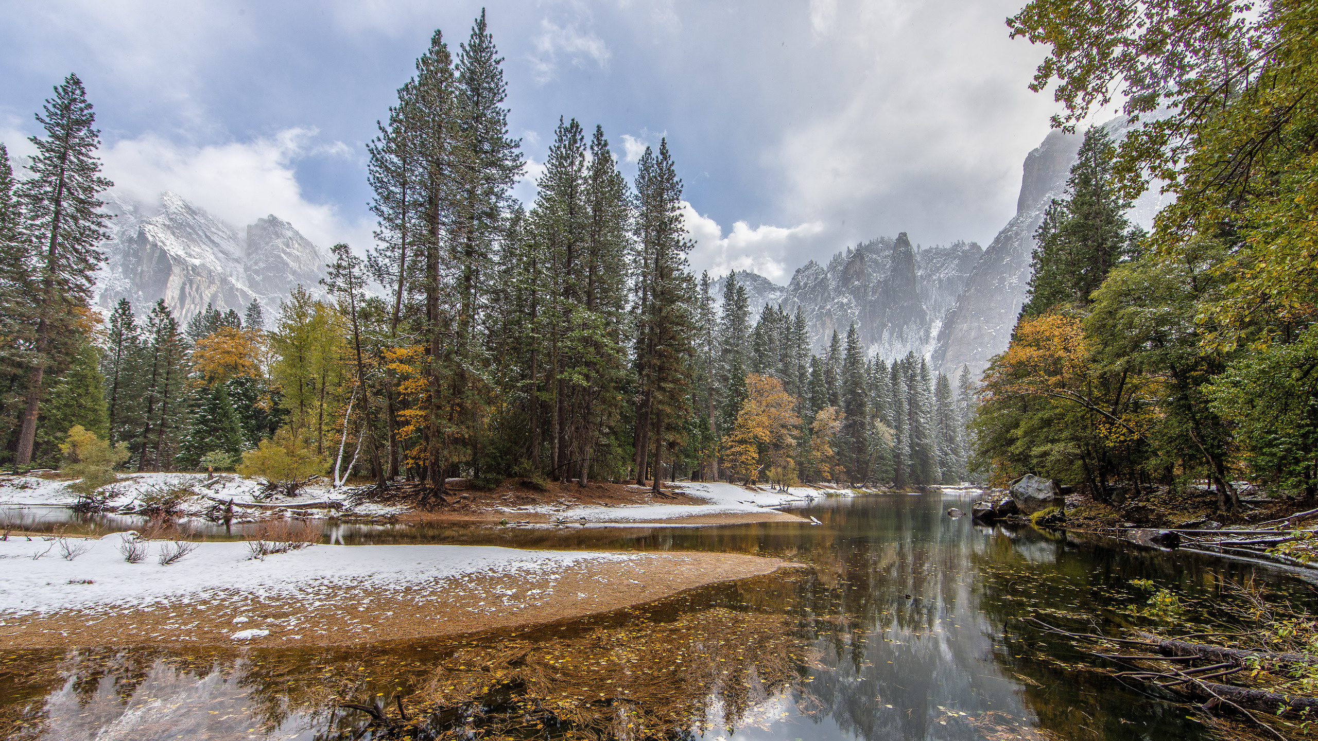 Обои природа, отражение, дерево, вода, дикая местность в разрешении 2560x1440