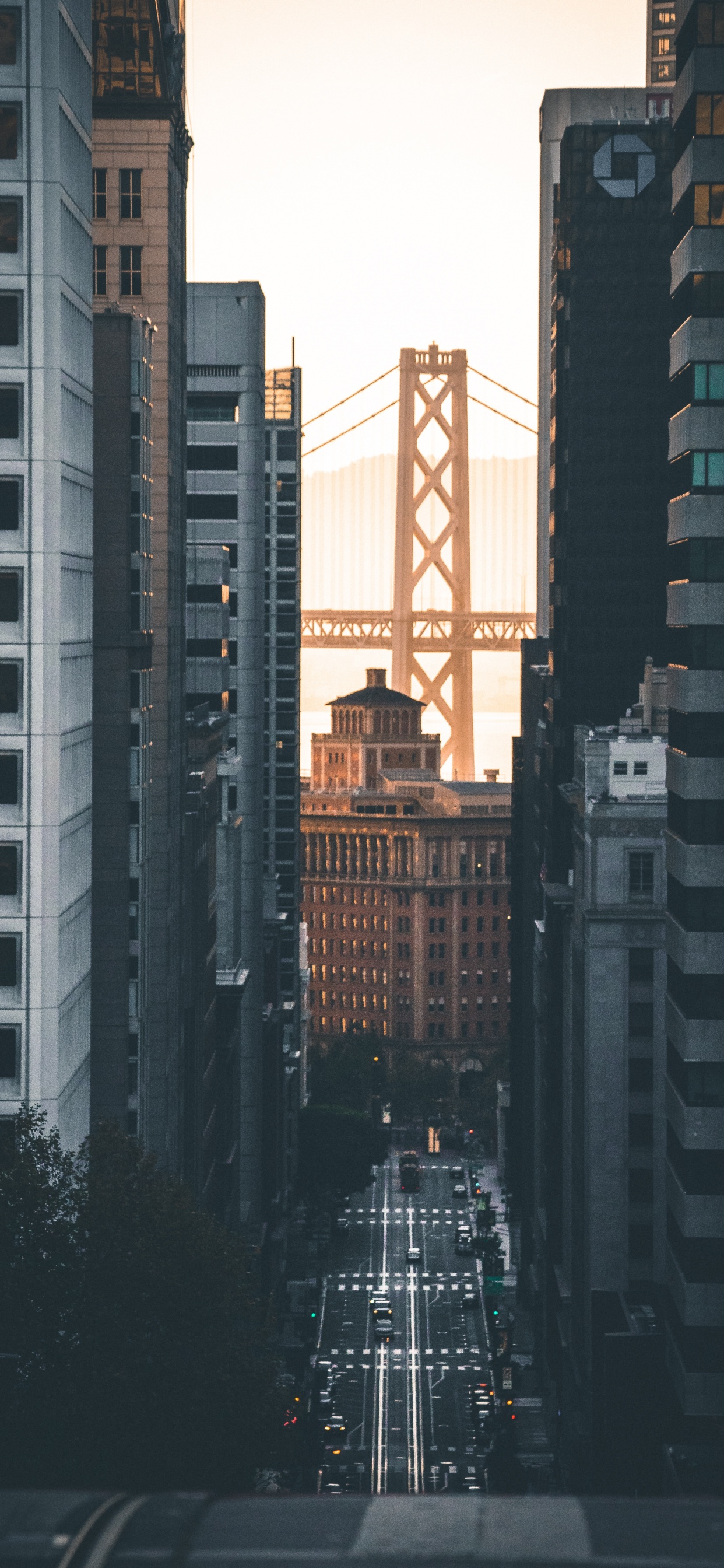 Обои Система канатной дороги Сан-Франциско, городской район, метрополия, город, населенный пункт в разрешении 1242x2688