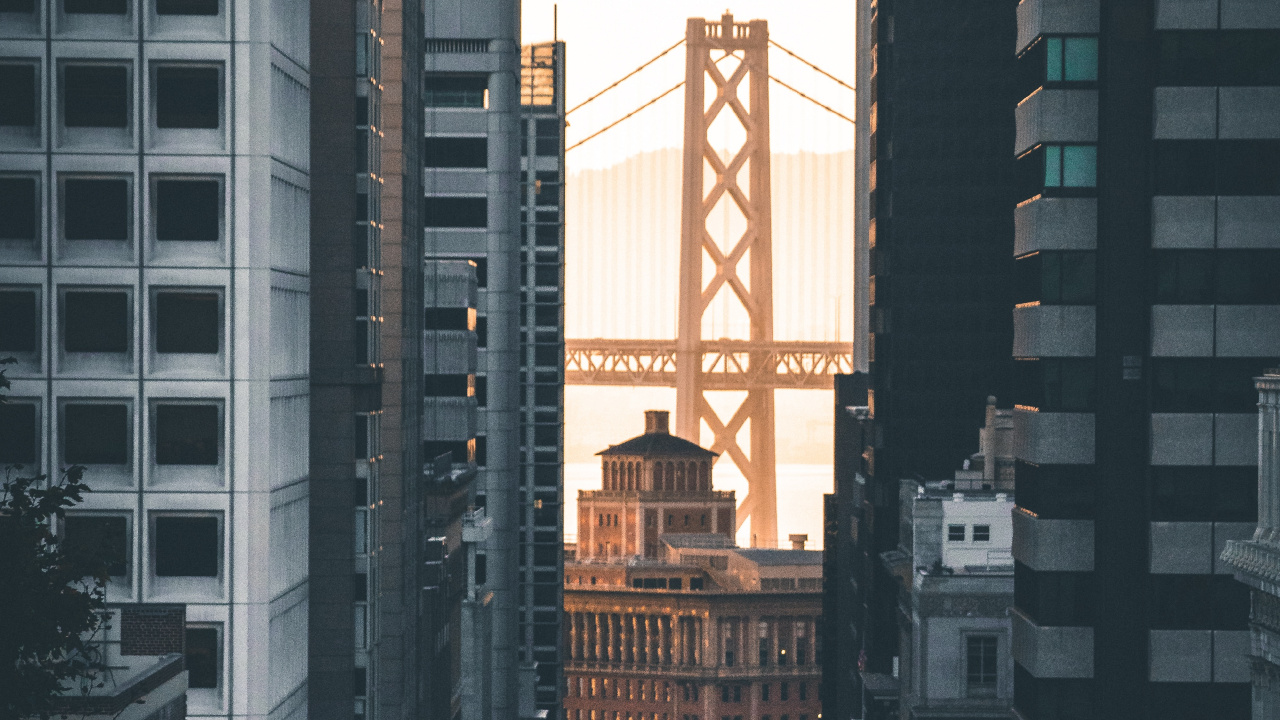 Обои Система канатной дороги Сан-Франциско, городской район, метрополия, город, населенный пункт в разрешении 1280x720