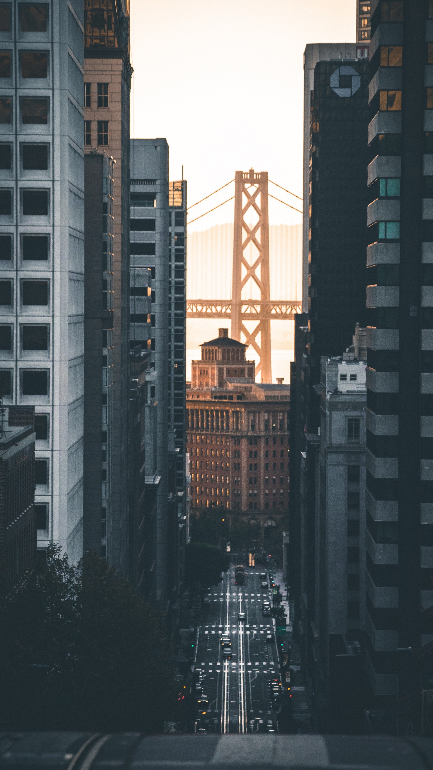 Обои Система канатной дороги Сан-Франциско, городской район, метрополия, город, населенный пункт в разрешении 1440x2560