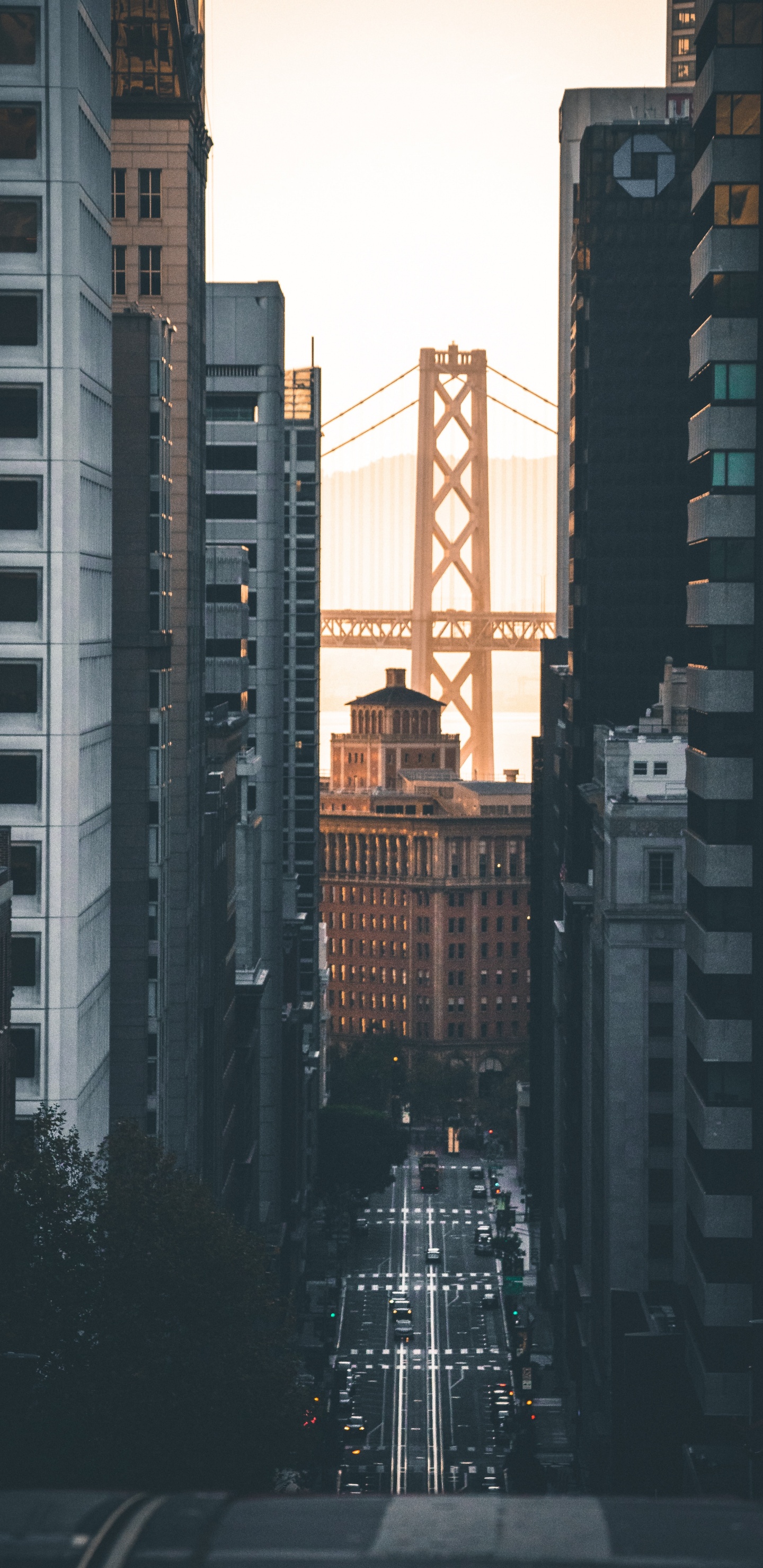 Обои Система канатной дороги Сан-Франциско, городской район, метрополия, город, населенный пункт в разрешении 1440x2960