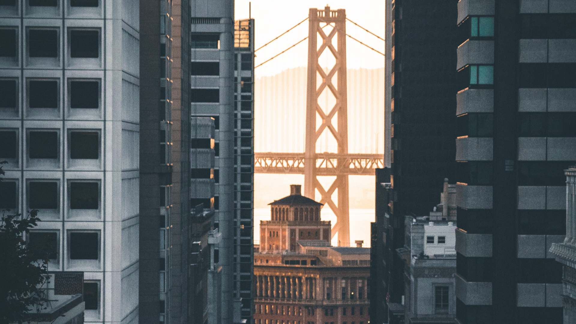 Обои Система канатной дороги Сан-Франциско, городской район, метрополия, город, населенный пункт в разрешении 1920x1080