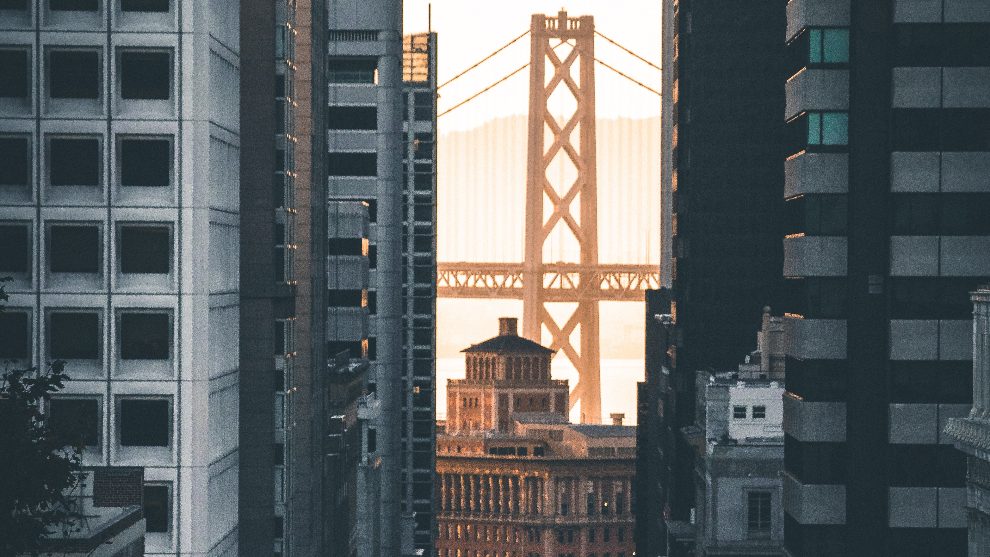 Обои Система канатной дороги Сан-Франциско, городской район, метрополия, город, населенный пункт в разрешении 3840x2160