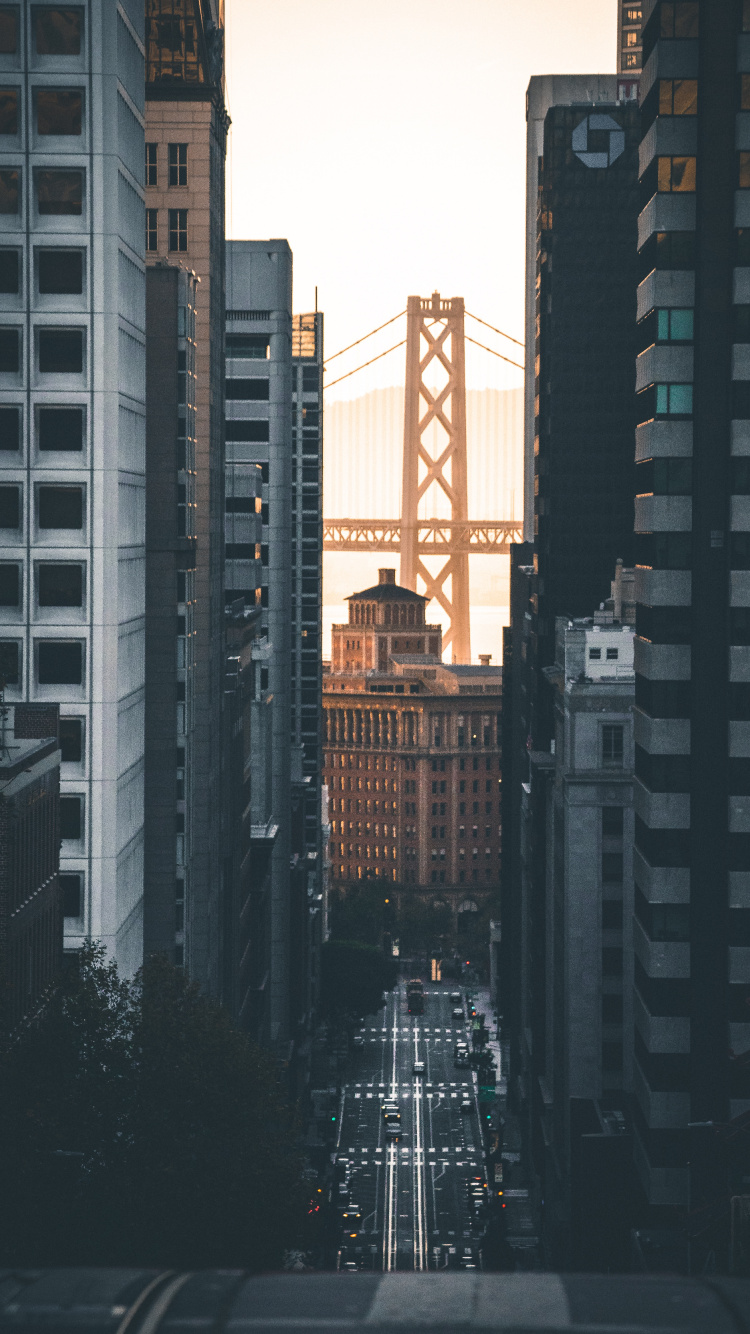 Обои Система канатной дороги Сан-Франциско, городской район, метрополия, город, населенный пункт в разрешении 750x1334