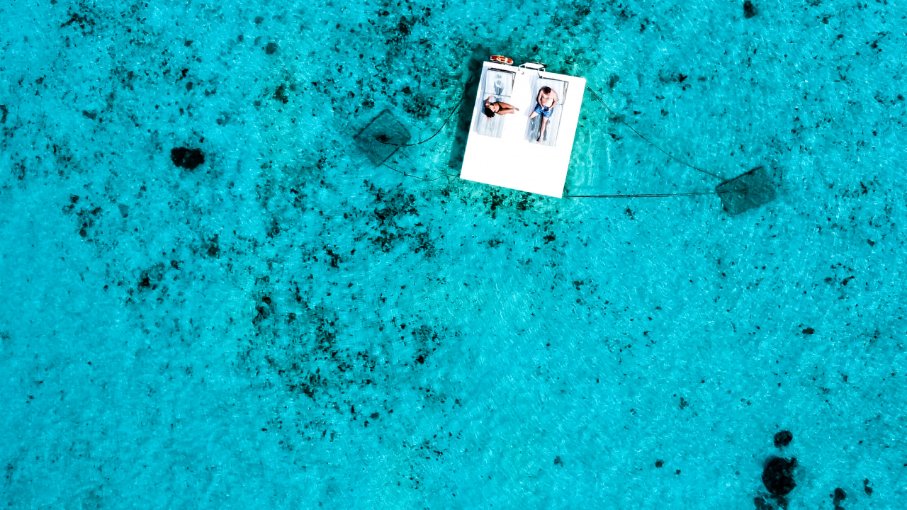 Обои вода, биология, морская биология, синий, зеленый в разрешении 1280x720