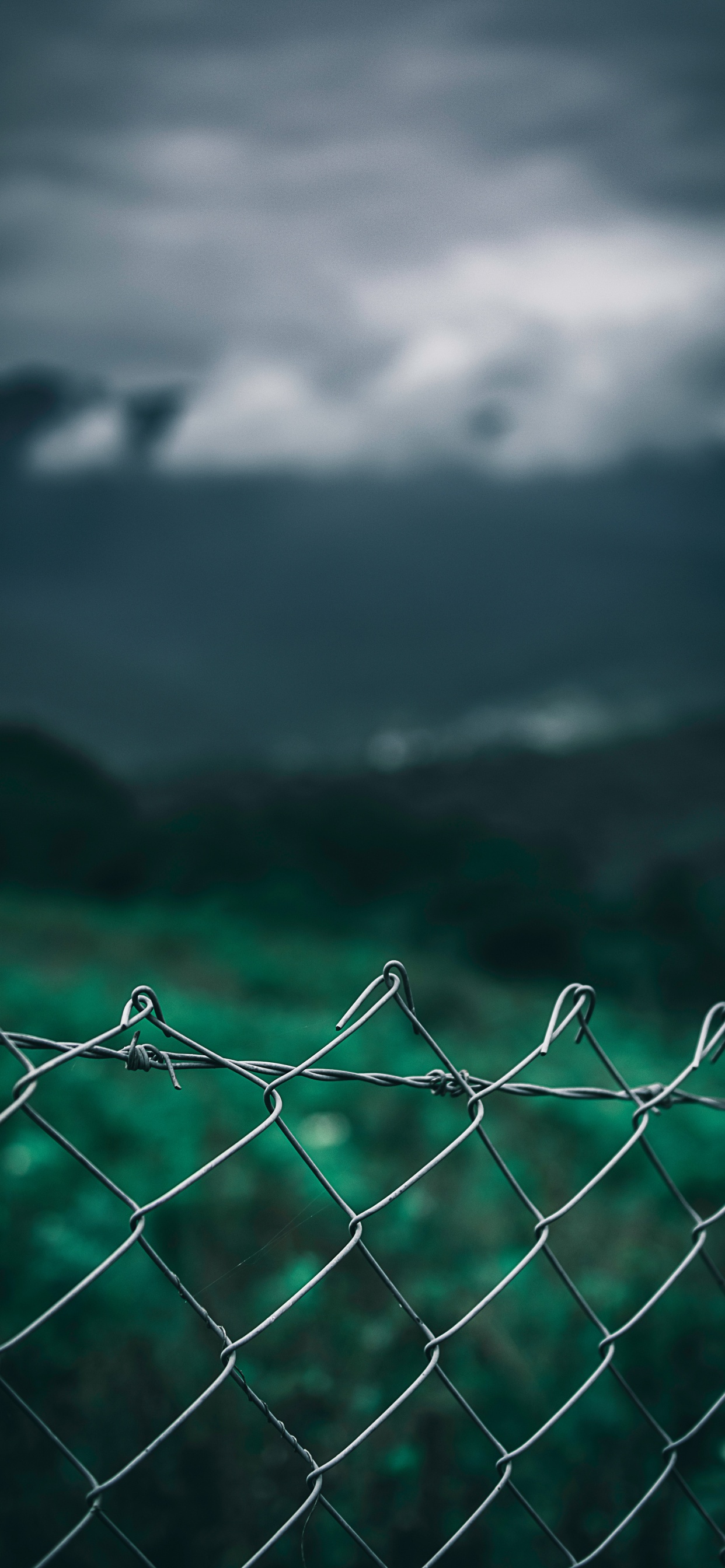 Обои вода, зеленый, ограждать провода, облако, атмосфера в разрешении 1242x2688