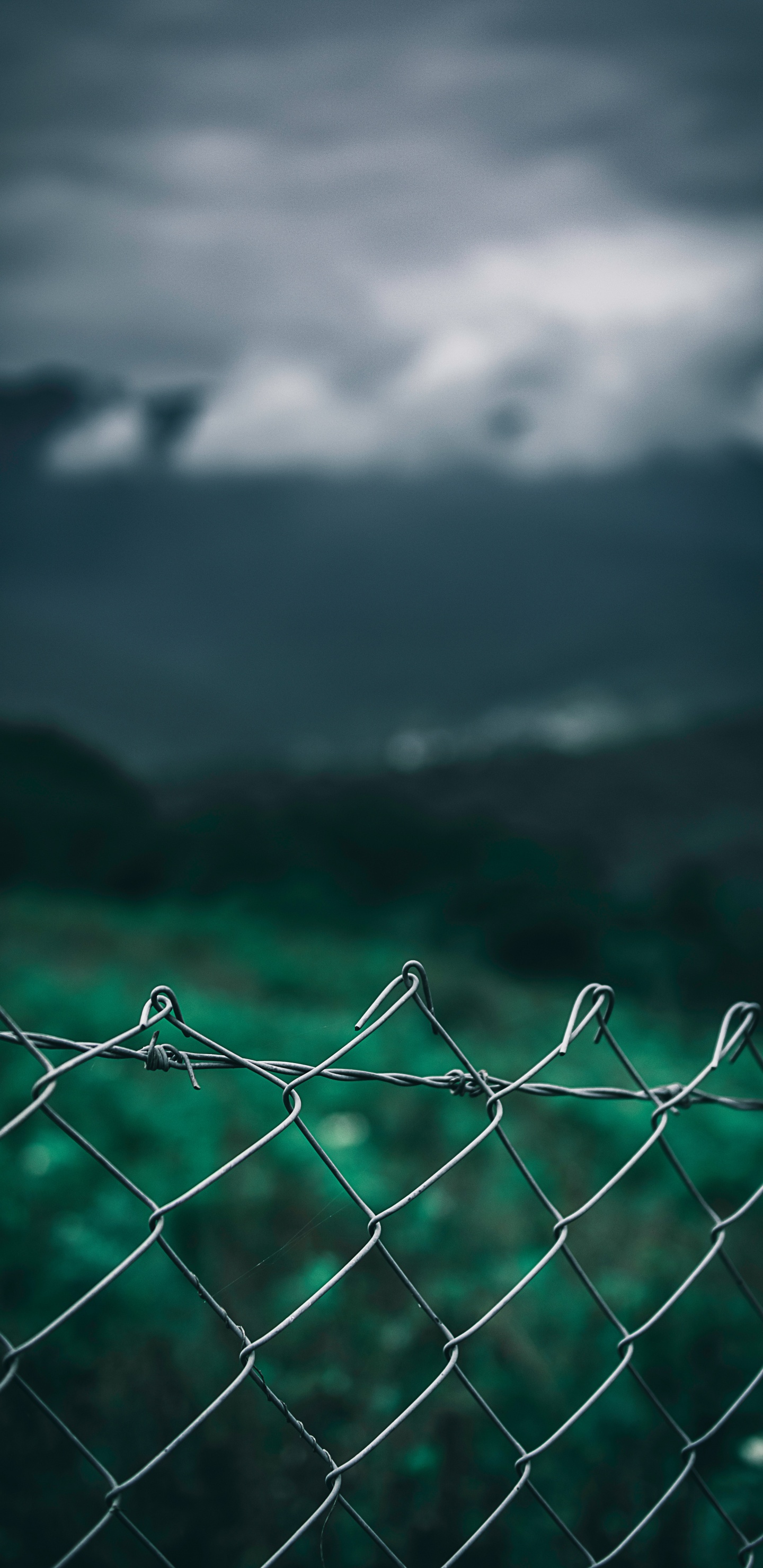 Обои вода, зеленый, ограждать провода, облако, атмосфера в разрешении 1440x2960