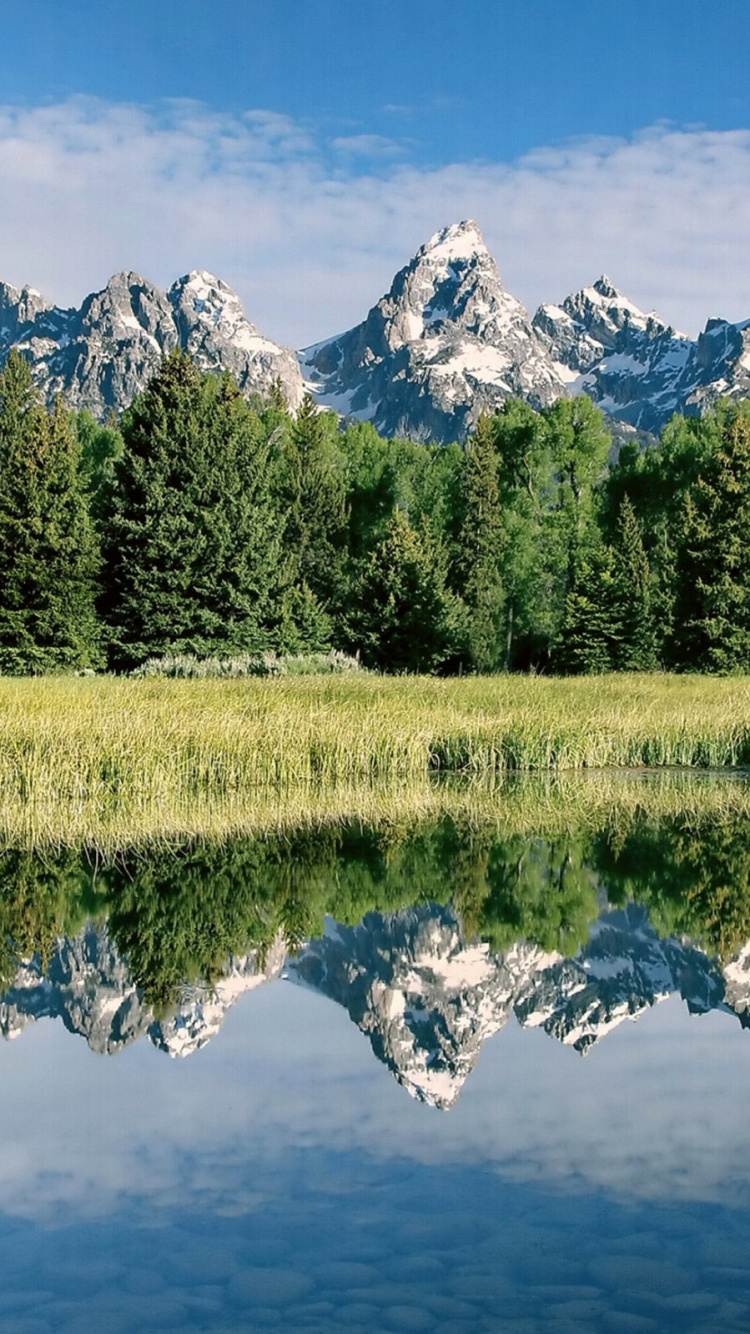 Обои отражение, природа, вода, дикая местность, гидроресурсы в разрешении 750x1334