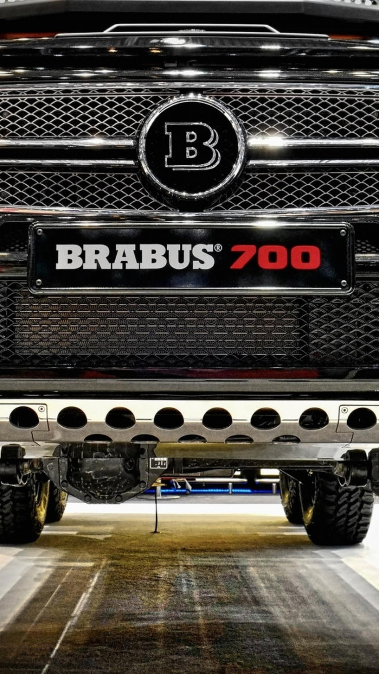 Обои зверь, авто, автомобильный экстерьер, бампер, автомобильные шины в разрешении 750x1334