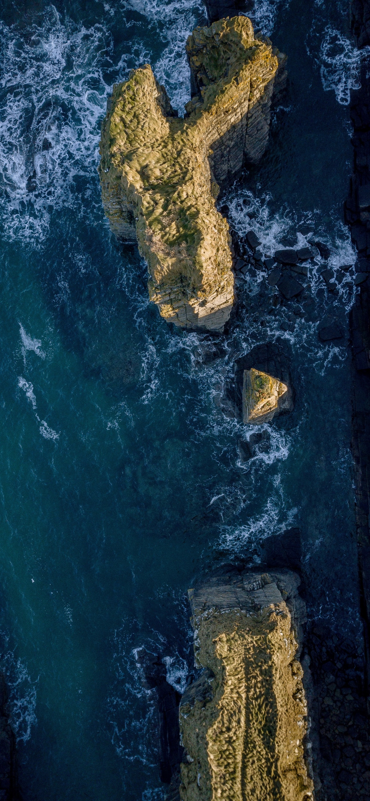 Обои море, земля, океан, вода, космос в разрешении 1242x2688