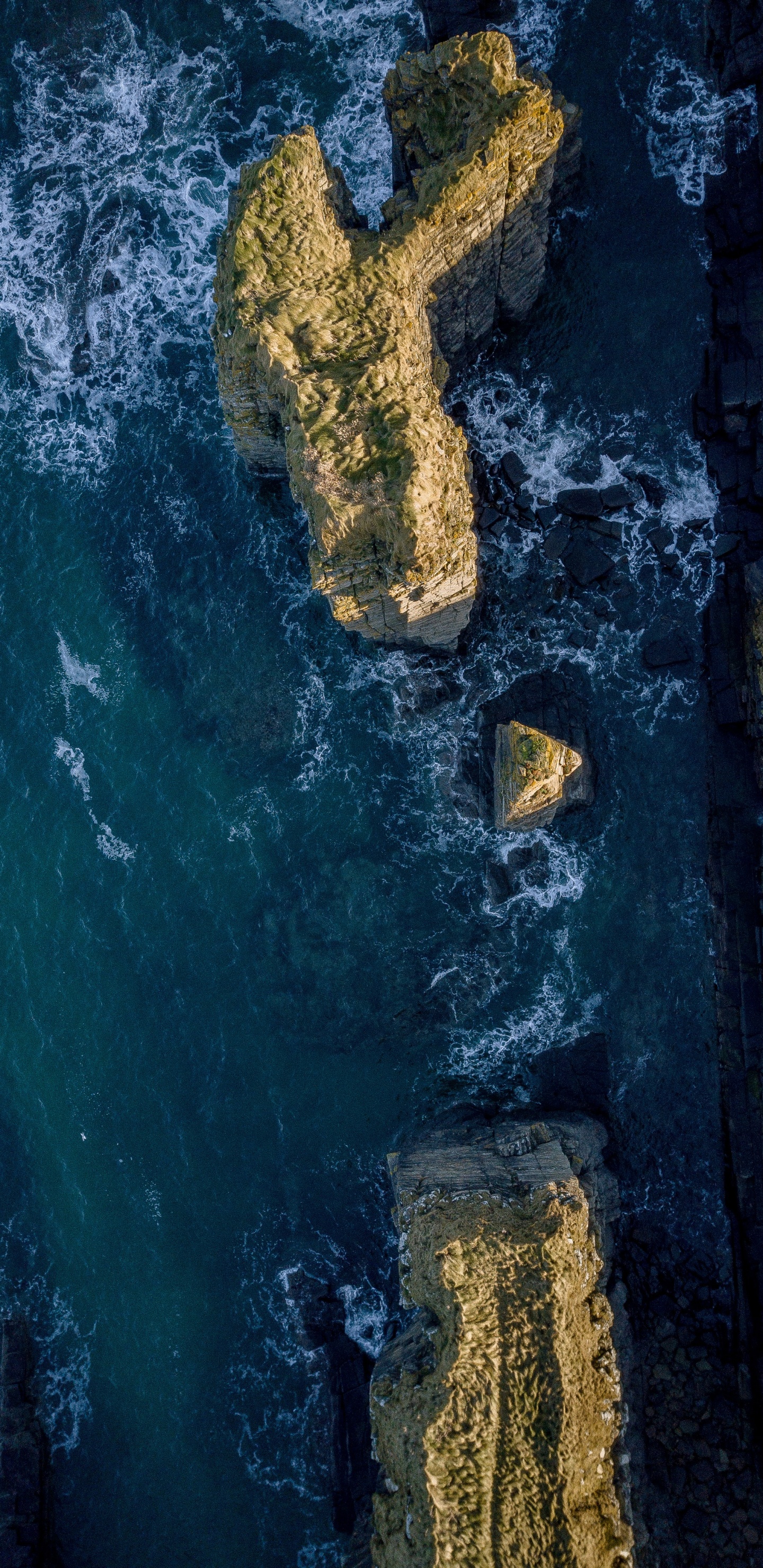 Обои море, земля, океан, вода, космос в разрешении 1440x2960