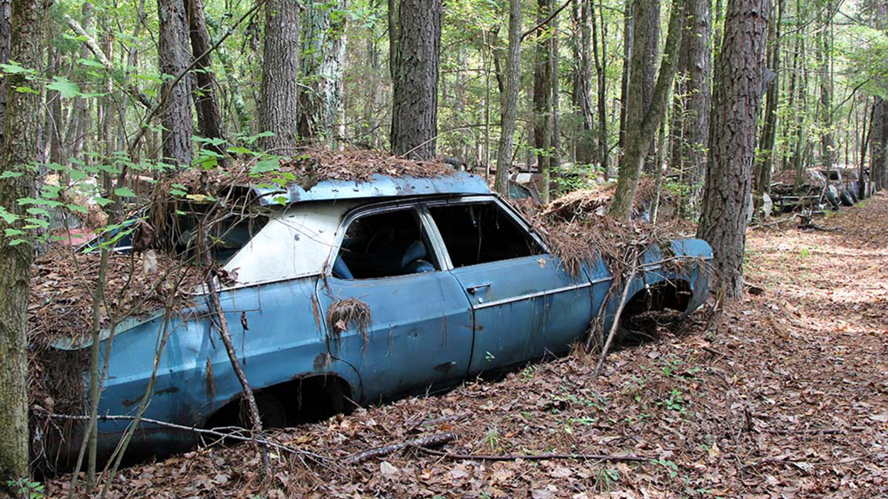 Обои дерево, компактный автомобиль, авто, классический автомобиль, старинная машина в разрешении 1280x720
