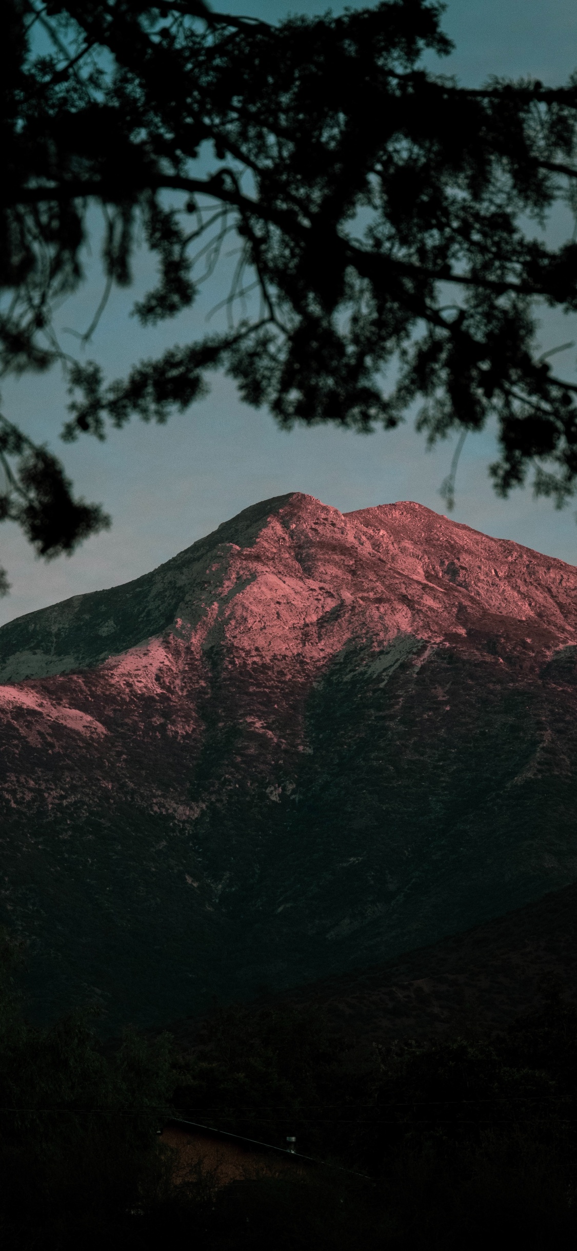 Обои природа, гора, дерево, дикая местность, нагорье в разрешении 1125x2436