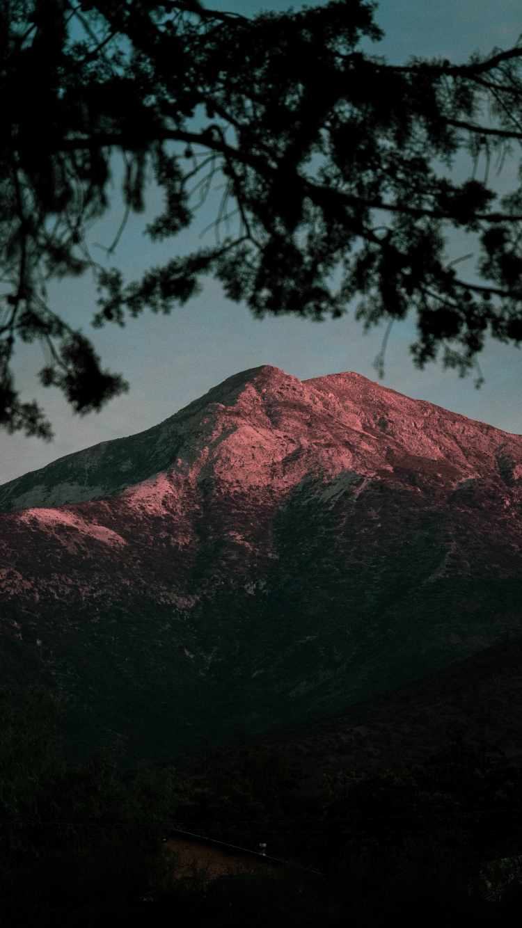 Обои природа, гора, дерево, дикая местность, нагорье в разрешении 750x1334