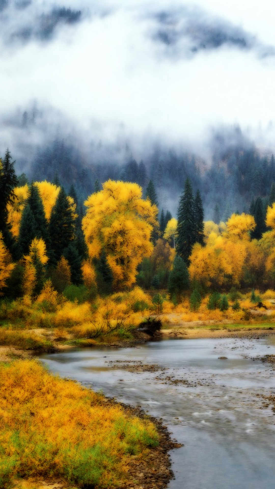 Обои природа, дикая местность, природный заповедник, прибрежные зоны, лес в разрешении 1080x1920