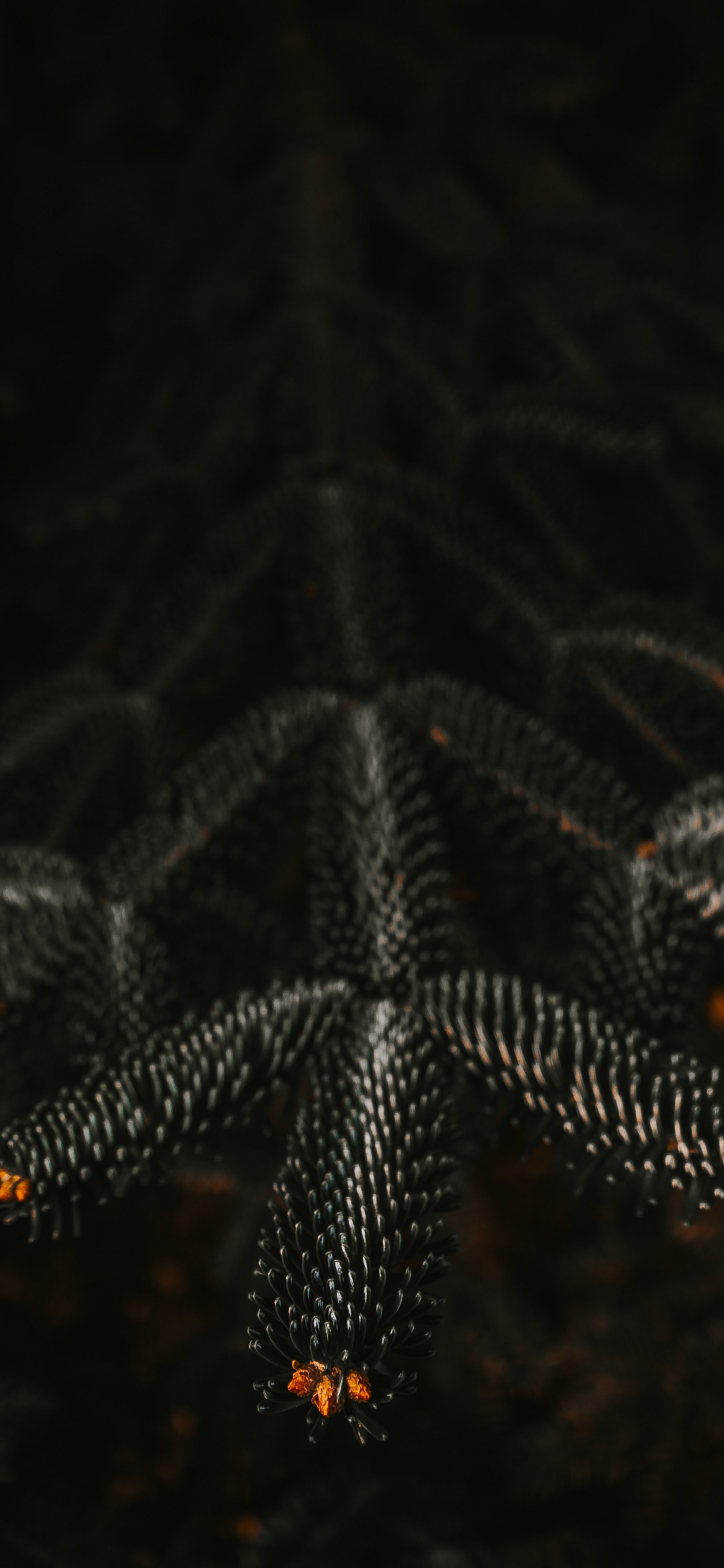 Обои ночь, черный, освещение, узор, вода в разрешении 1125x2436