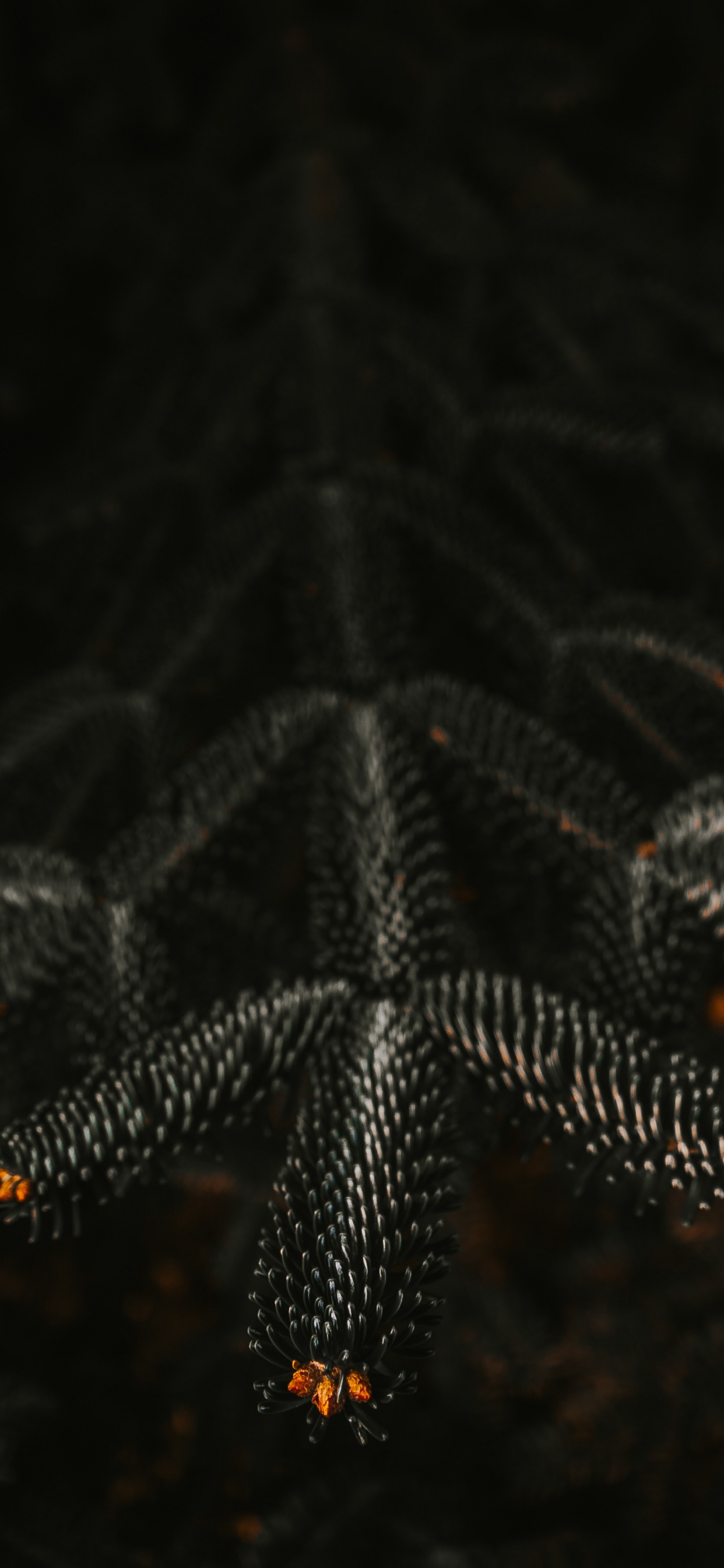 Обои ночь, черный, освещение, узор, вода в разрешении 1242x2688