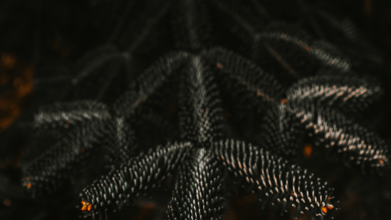 Обои ночь, черный, освещение, узор, вода в разрешении 1366x768