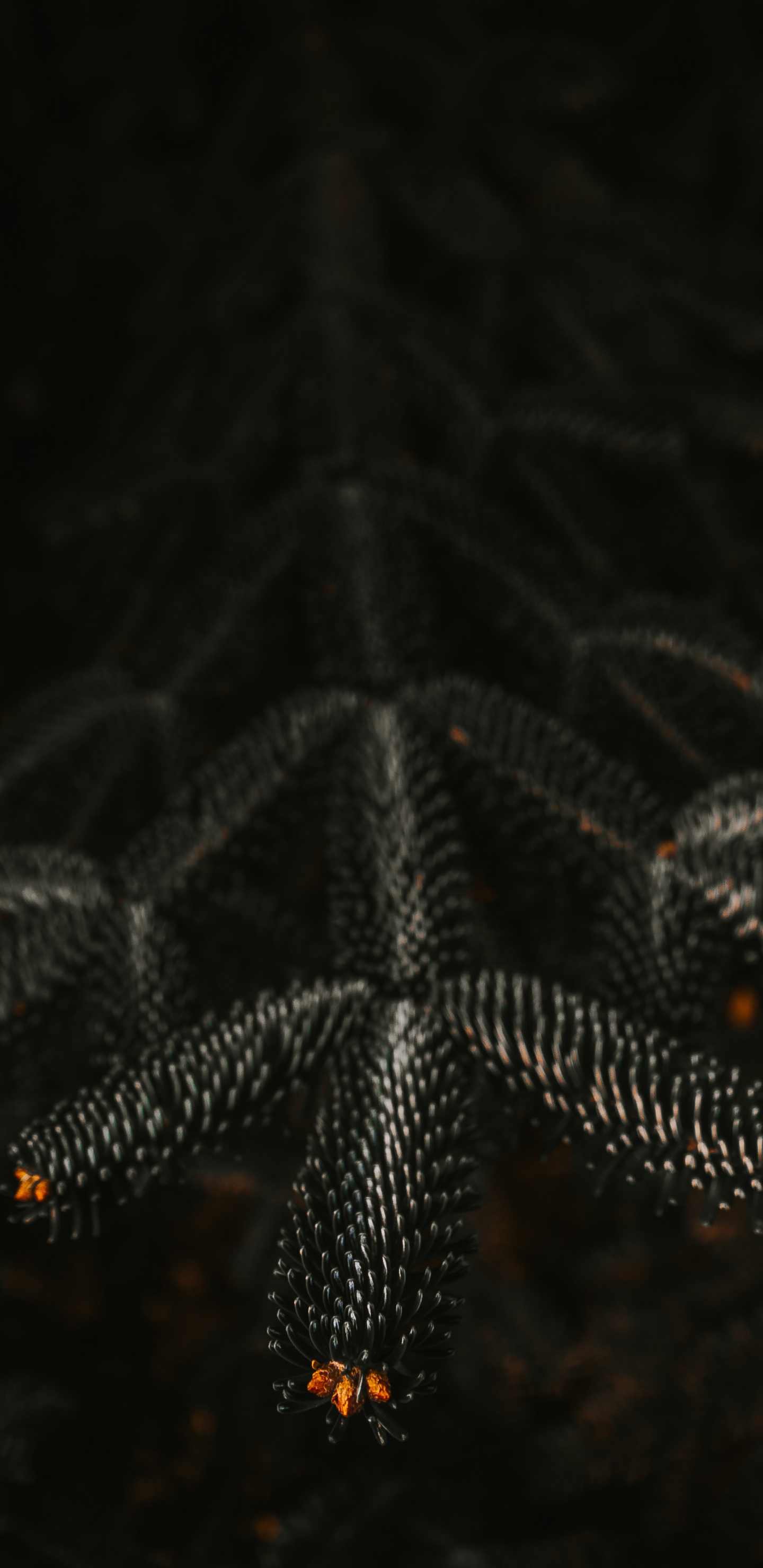 Обои ночь, черный, освещение, узор, вода в разрешении 1440x2960