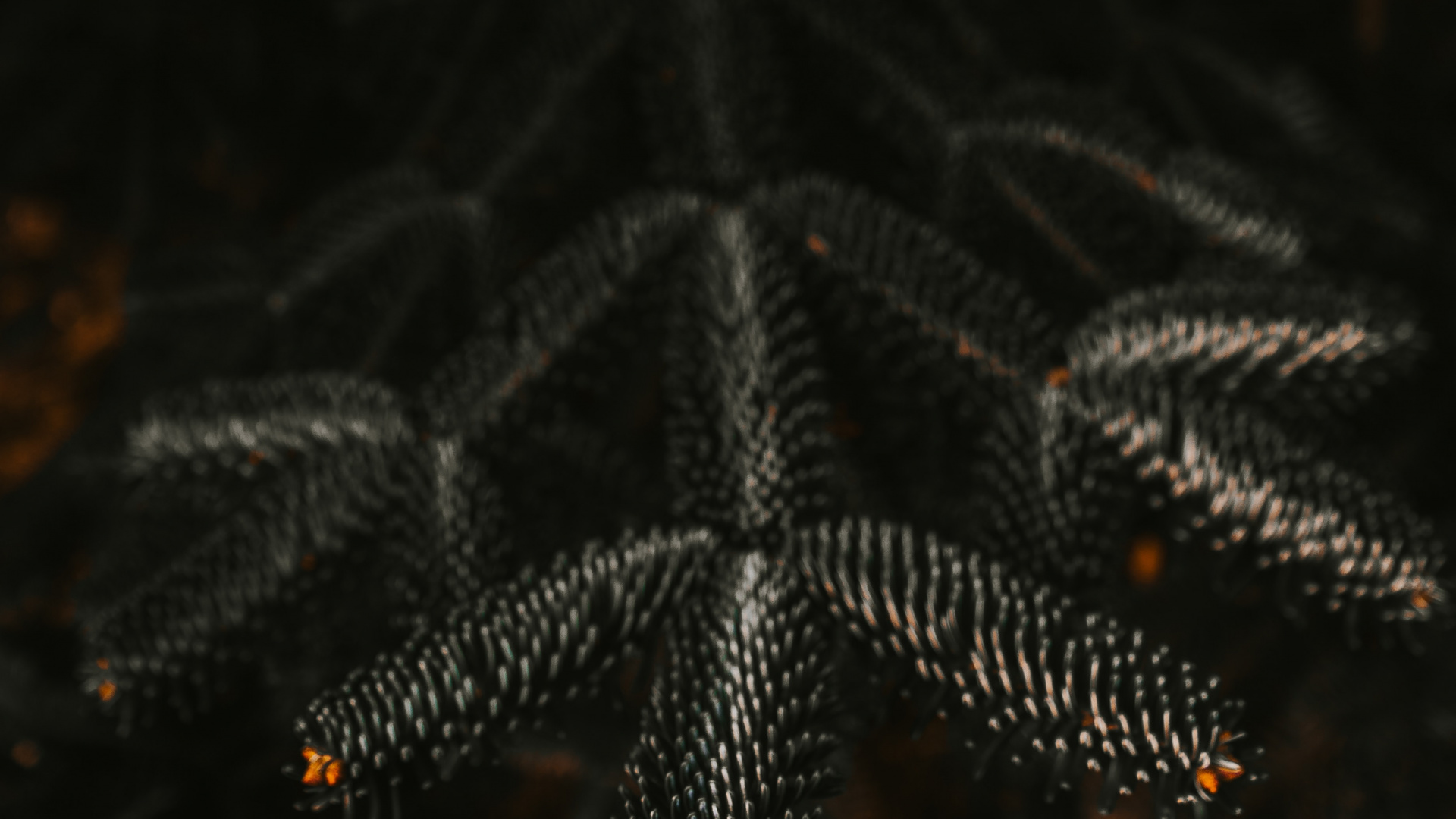 Обои ночь, черный, освещение, узор, вода в разрешении 1920x1080