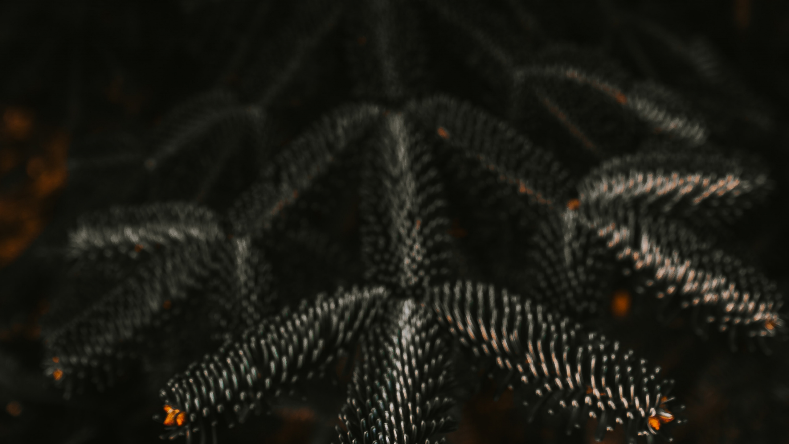 Обои ночь, черный, освещение, узор, вода в разрешении 2560x1440