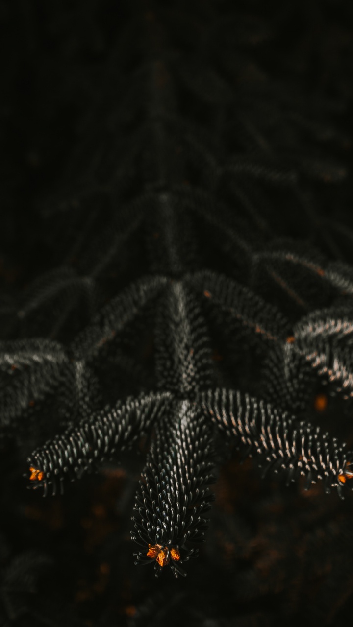 Обои ночь, черный, освещение, узор, вода в разрешении 720x1280