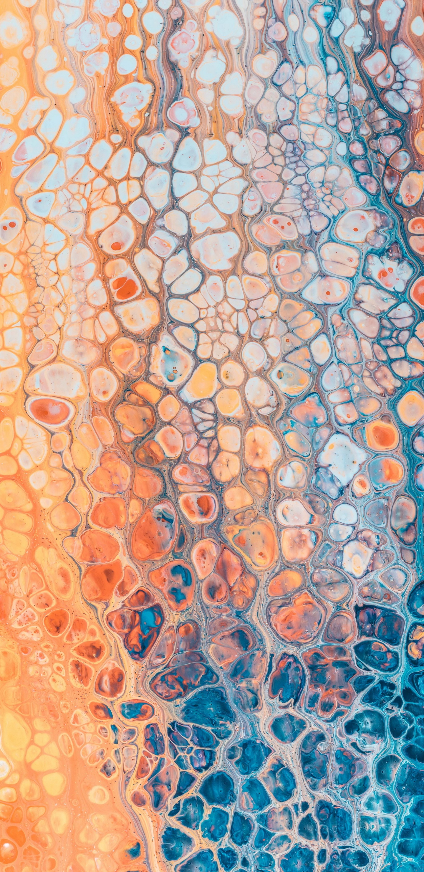 Обои Оранжевый цвет, андроид, смартфон, живопись, арт в разрешении 1440x2960