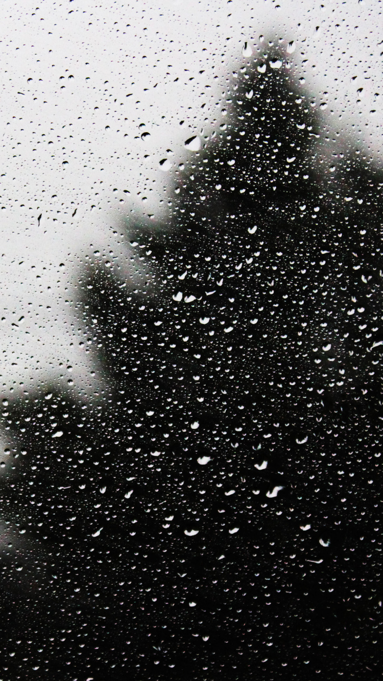 Обои окно, черный, белые, вода, монохромный в разрешении 750x1334