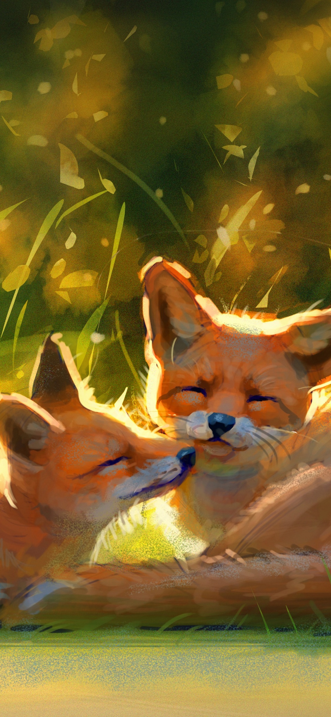 Обои лиса, Псовые, рыжая лисица, живая природа, красный волк в разрешении 1125x2436