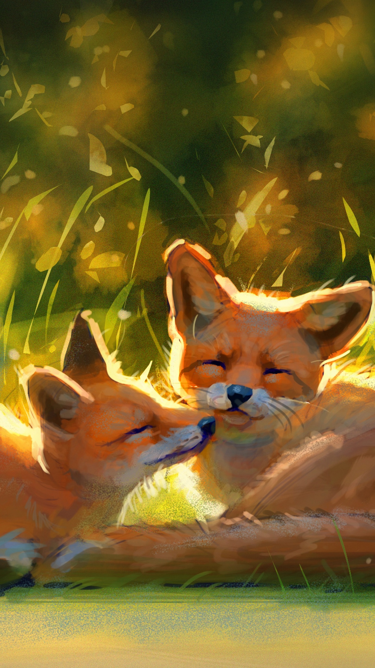 Обои лиса, Псовые, рыжая лисица, живая природа, красный волк в разрешении 1440x2560