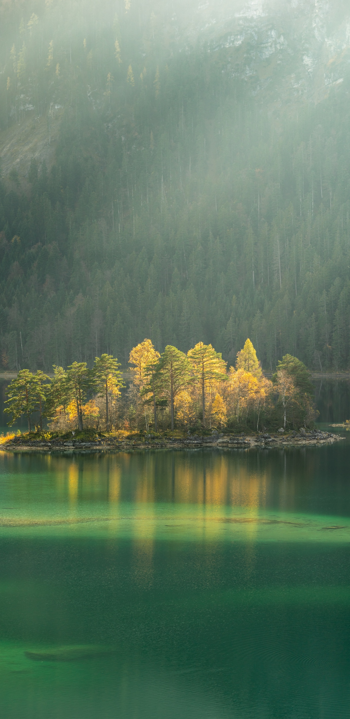 Обои природа, природный ландшафт, зеленый, отражение, вода в разрешении 1440x2960