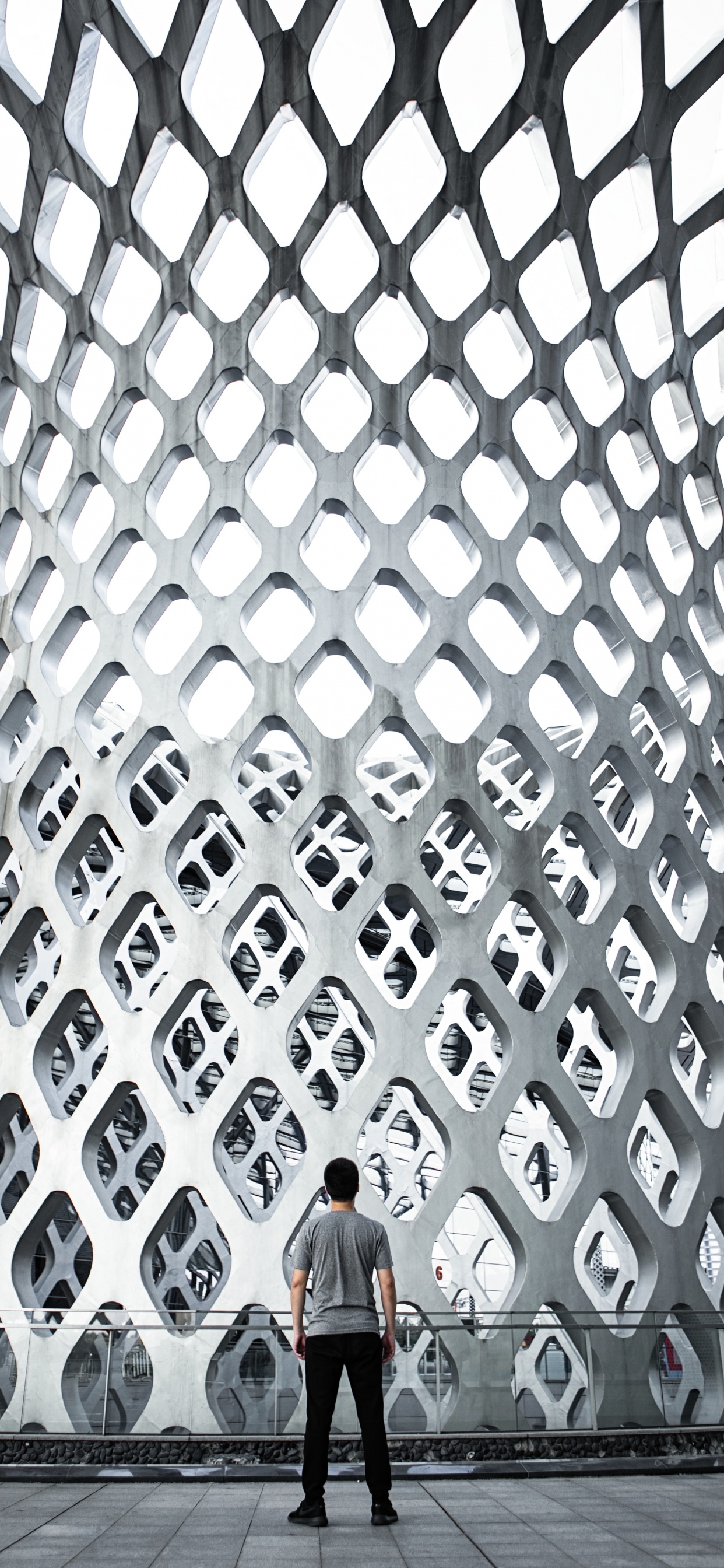 Обои архитектура, стена, узор, дизайн, потолок в разрешении 1242x2688