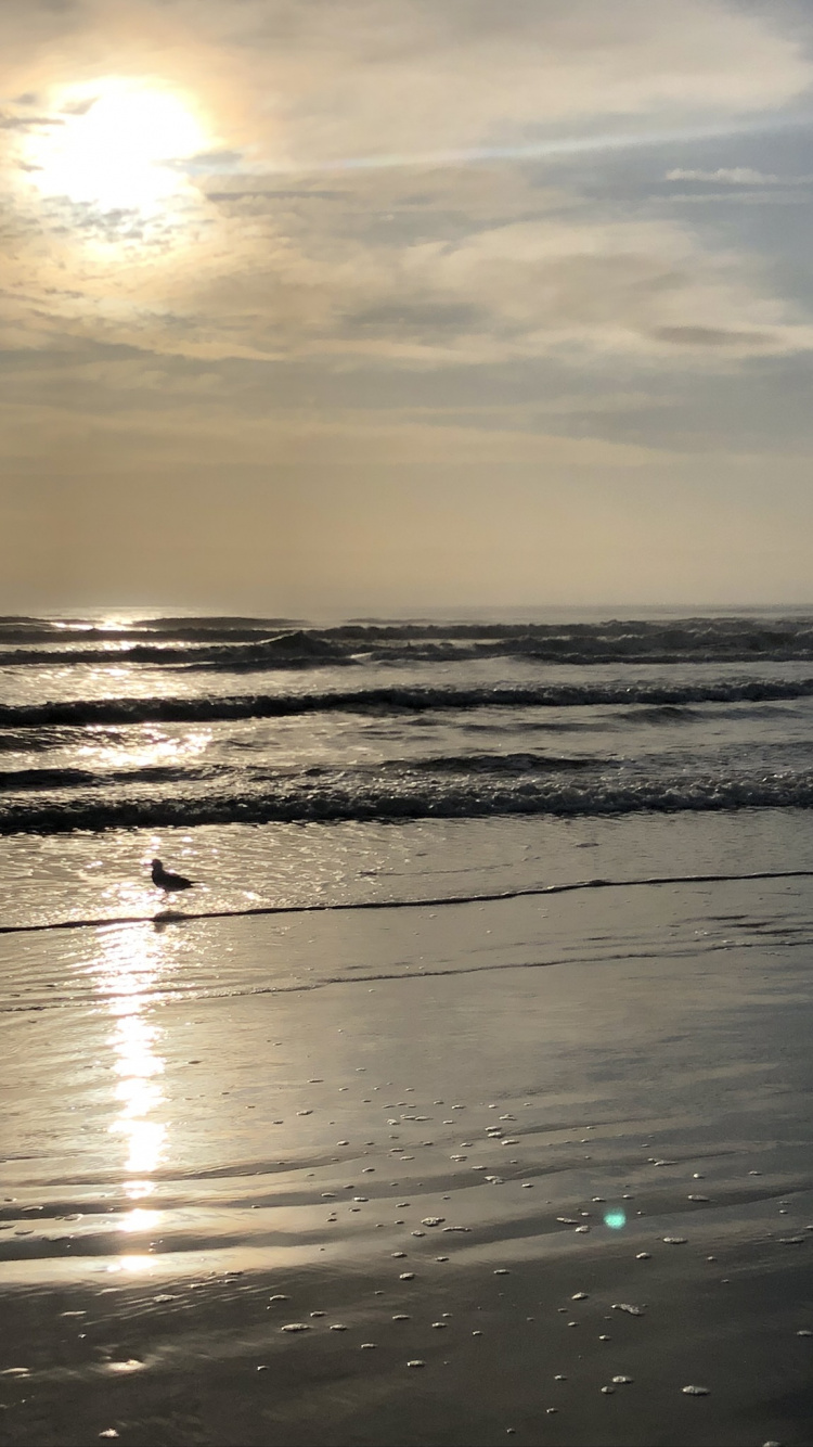 Обои море, мадфлэт, прилив, пляж, водоем в разрешении 750x1334