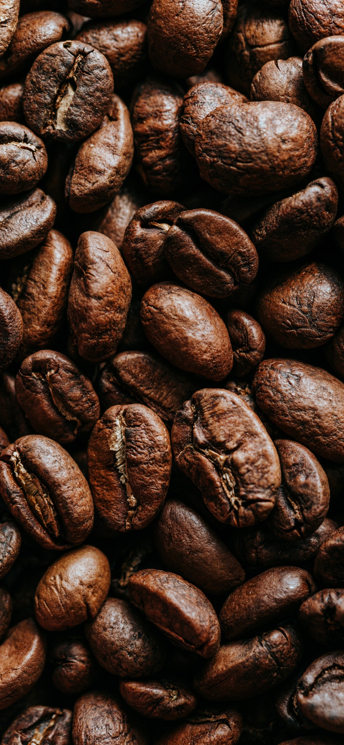 Обои какао боб, кофе, ямайский кофе Блю Маунтин, кофейное зерно, кофеин в разрешении 1125x2436