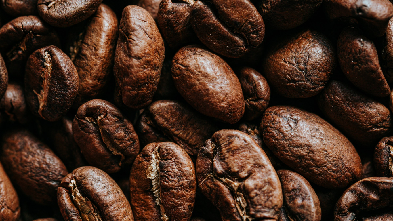 Обои какао боб, кофе, ямайский кофе Блю Маунтин, кофейное зерно, кофеин в разрешении 1366x768