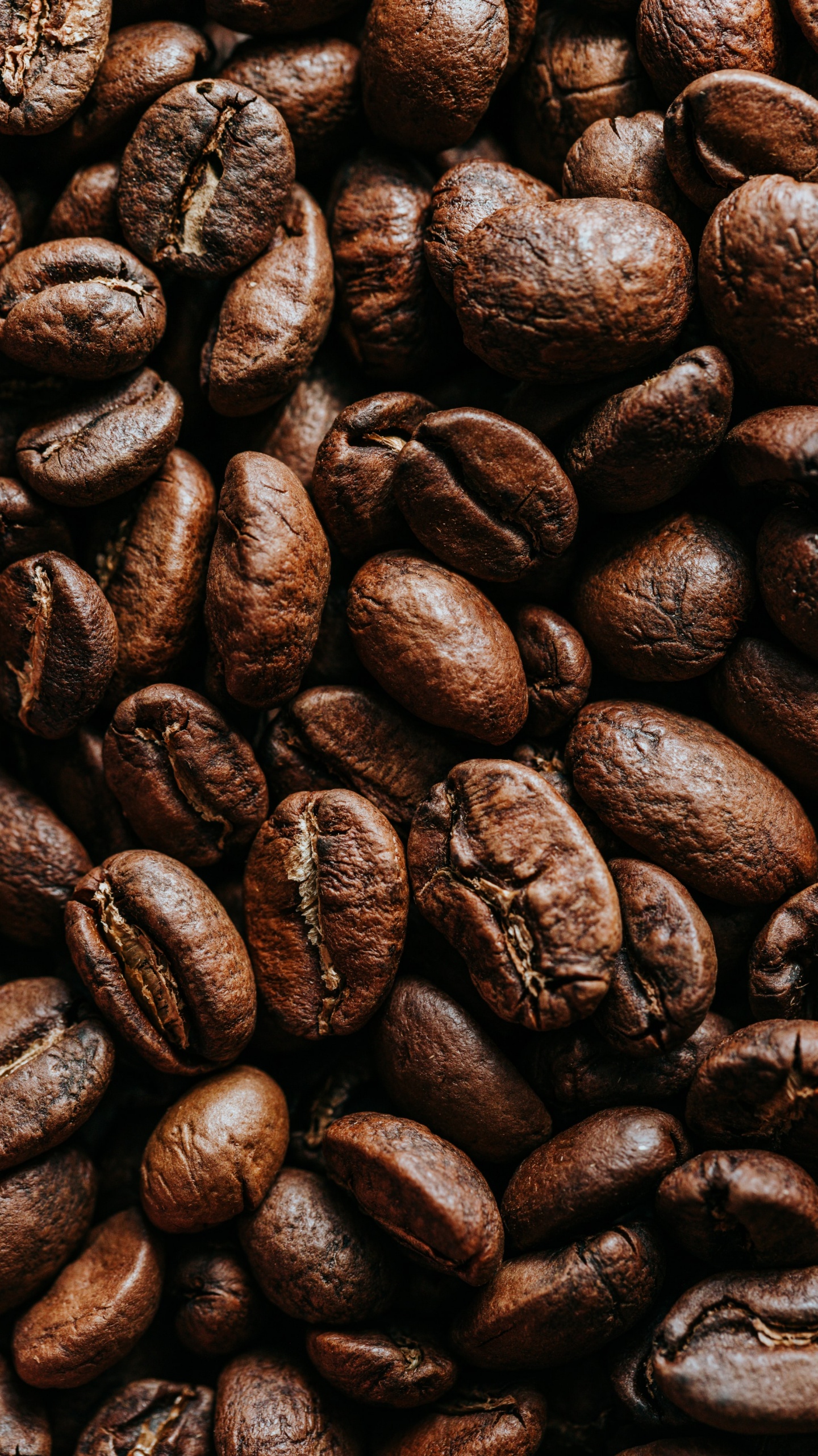 Обои какао боб, кофе, ямайский кофе Блю Маунтин, кофейное зерно, кофеин в разрешении 1440x2560