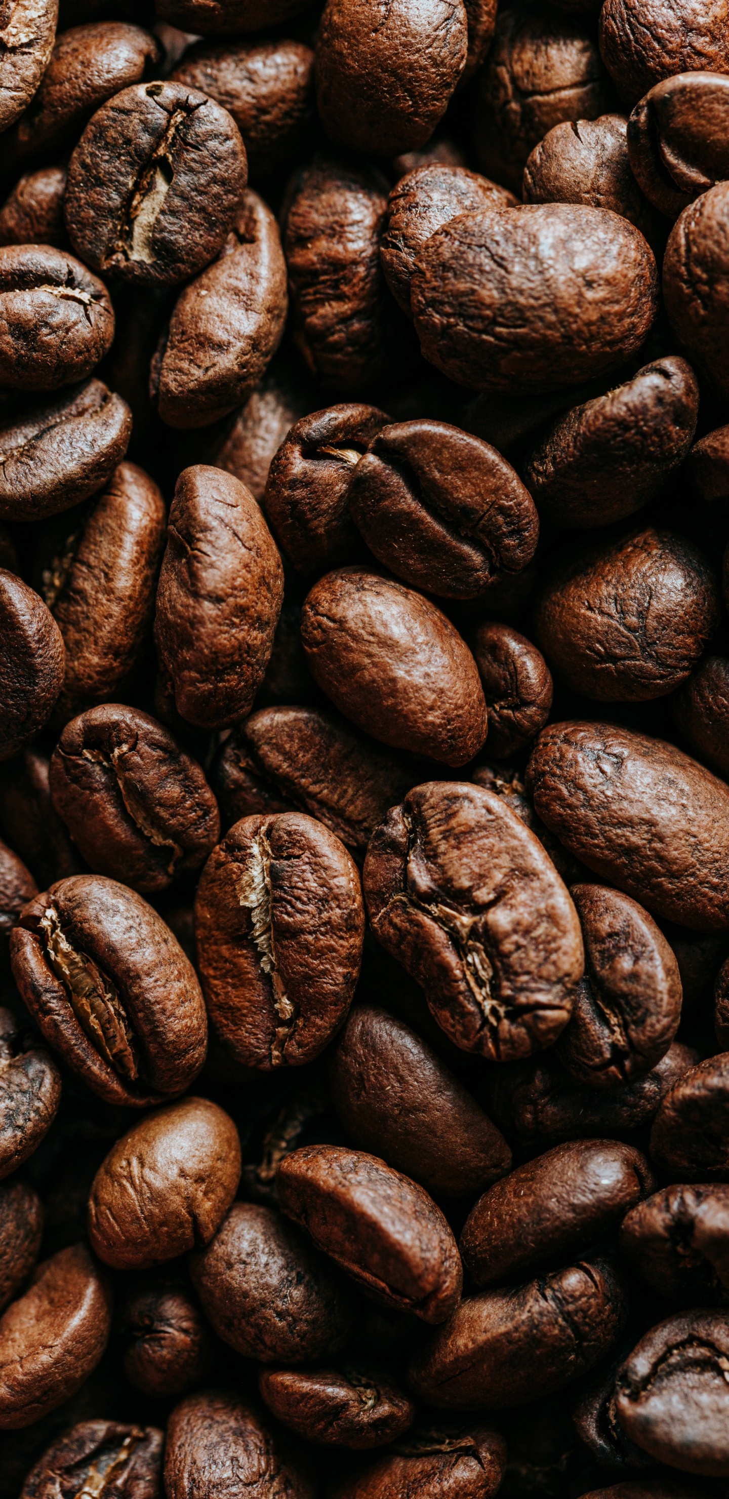 Обои какао боб, кофе, ямайский кофе Блю Маунтин, кофейное зерно, кофеин в разрешении 1440x2960