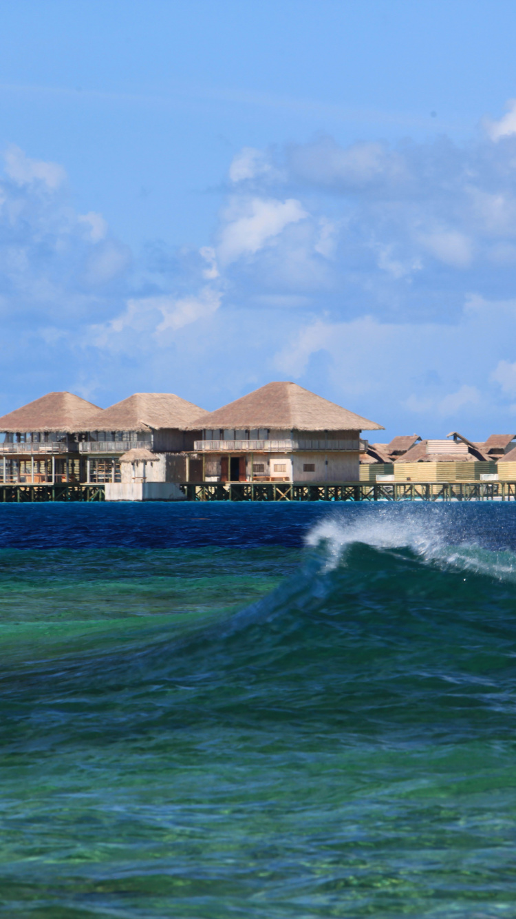 Обои Шесть Чувств Лааму, прибежище, море, пляж, океан в разрешении 750x1334