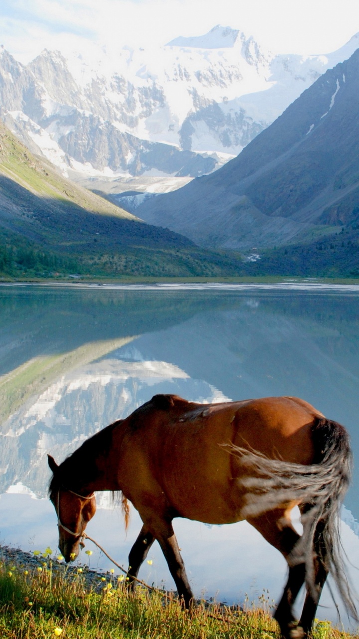 Обои природа, горный рельеф, горный хребет, дикая местность, природный заповедник в разрешении 720x1280