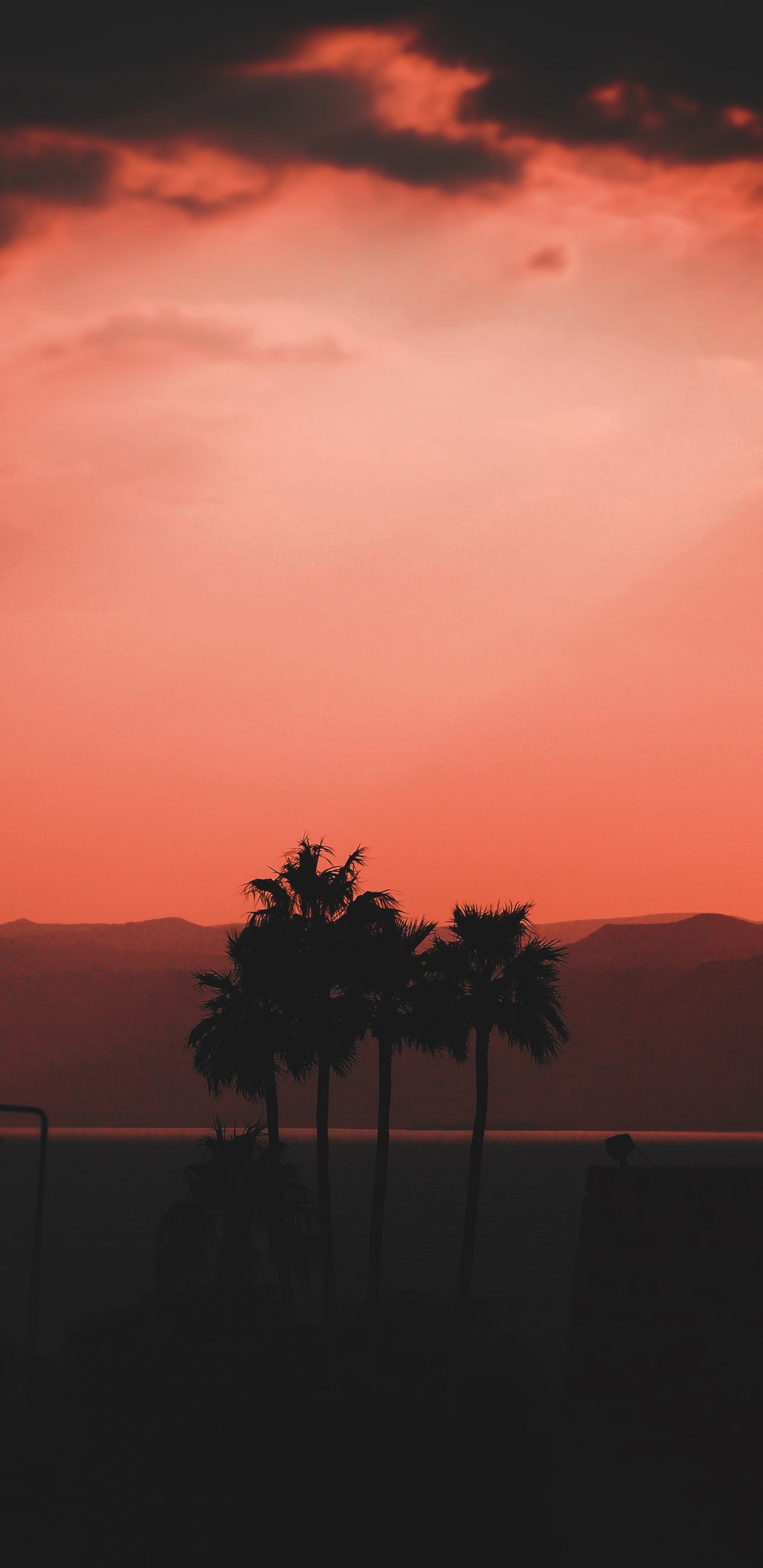 Обои послесвечение, горизонт, закат, красный цвет, Апельсин в разрешении 1440x2960