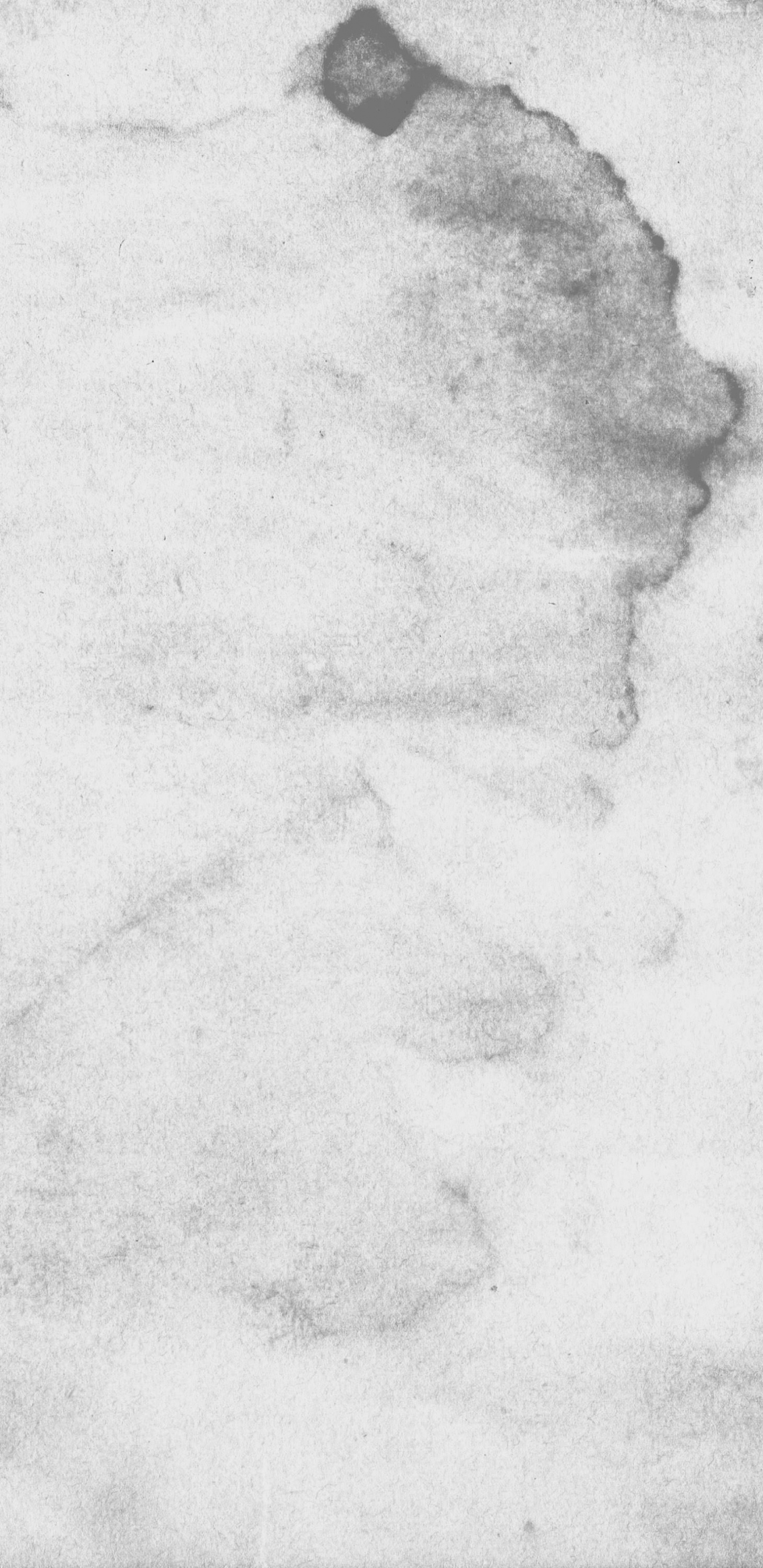 Обои гранж, белые, монохромный, ДИП Хаус, черный и белый в разрешении 1440x2960